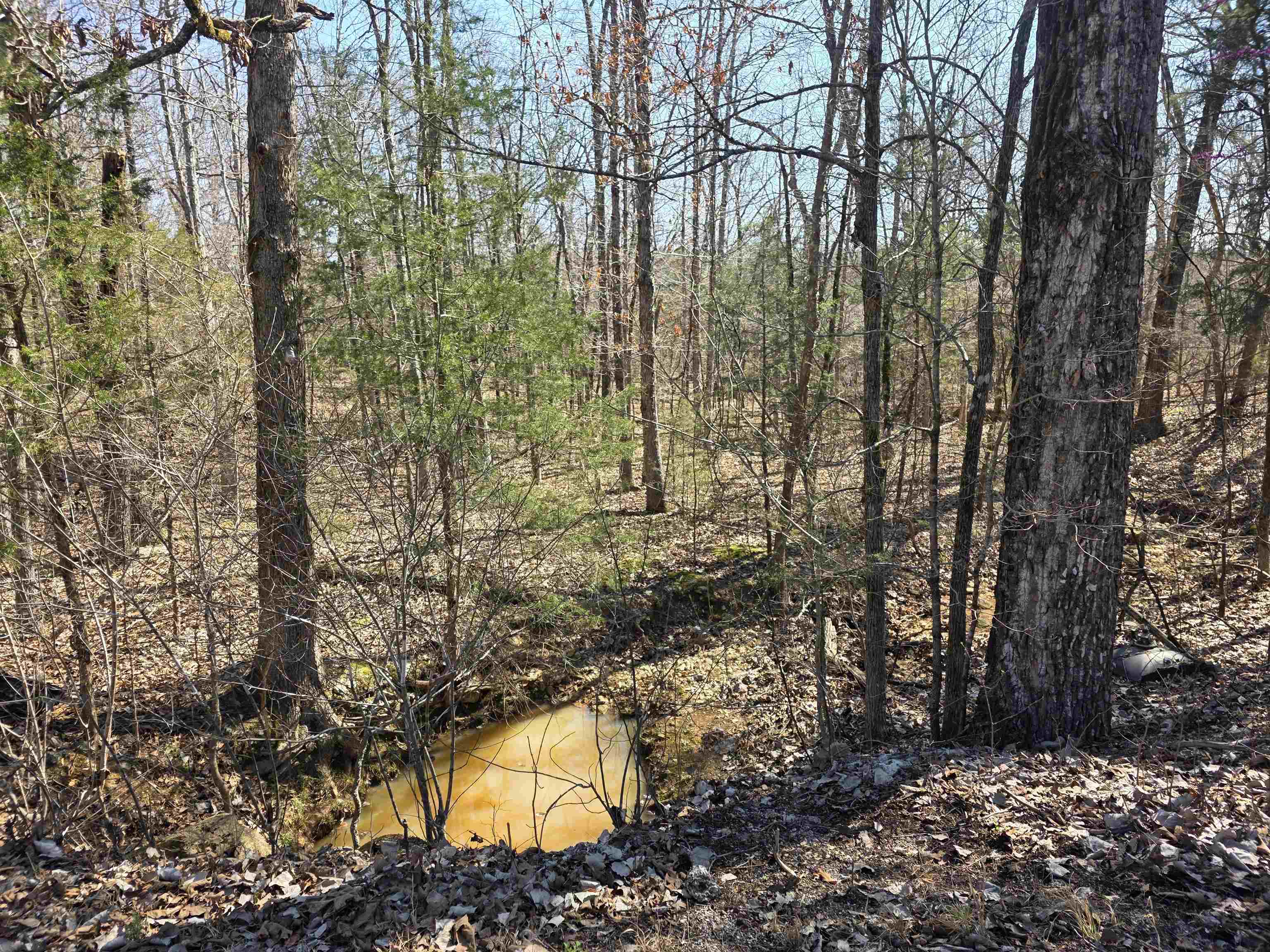 Photo 4 - Vacant Land for sale – L15 B8  Lochloosa   Cherokee Village, AR