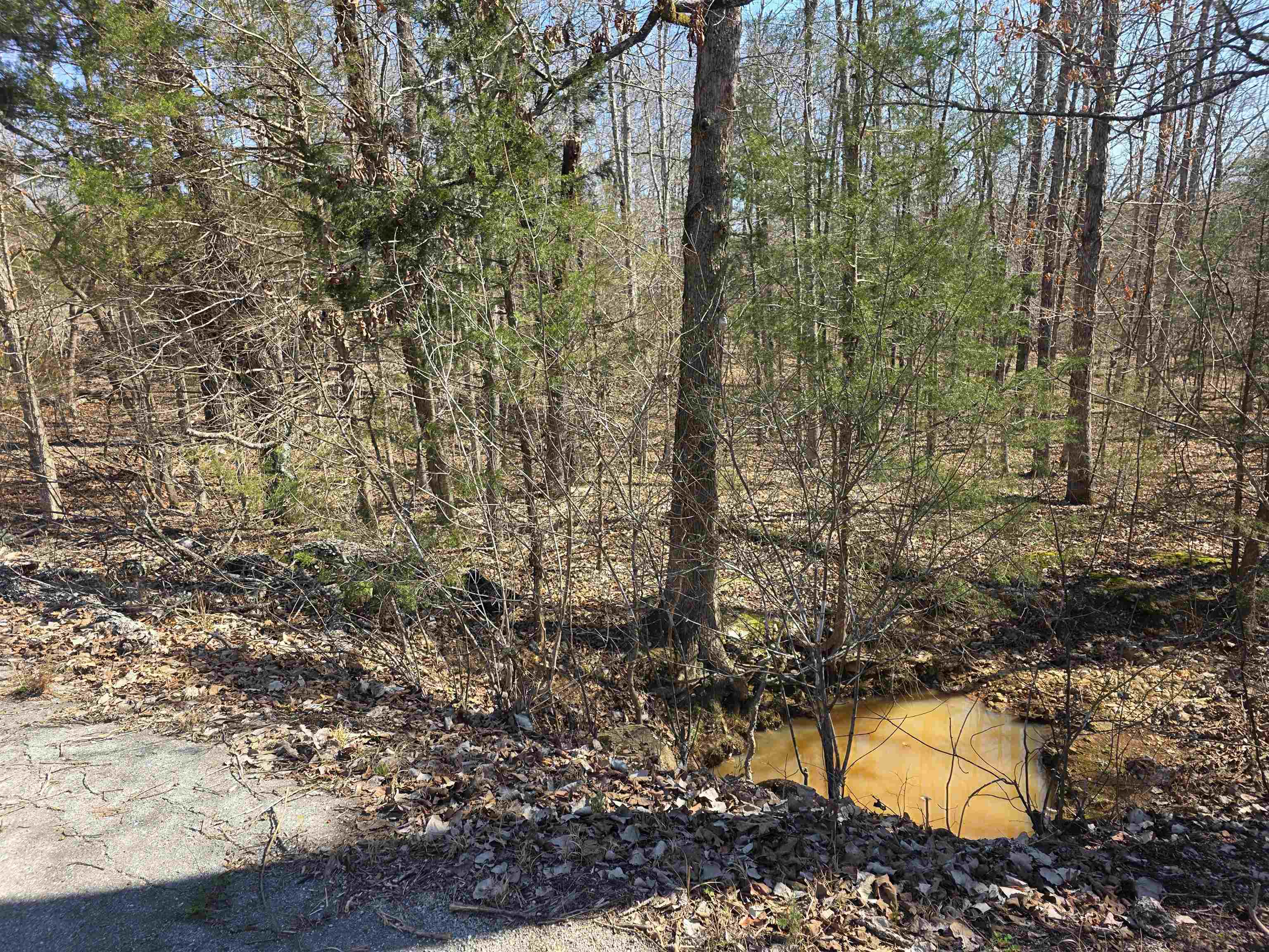 Photo 5 - Vacant Land for sale – L15 B8  Lochloosa   Cherokee Village, AR