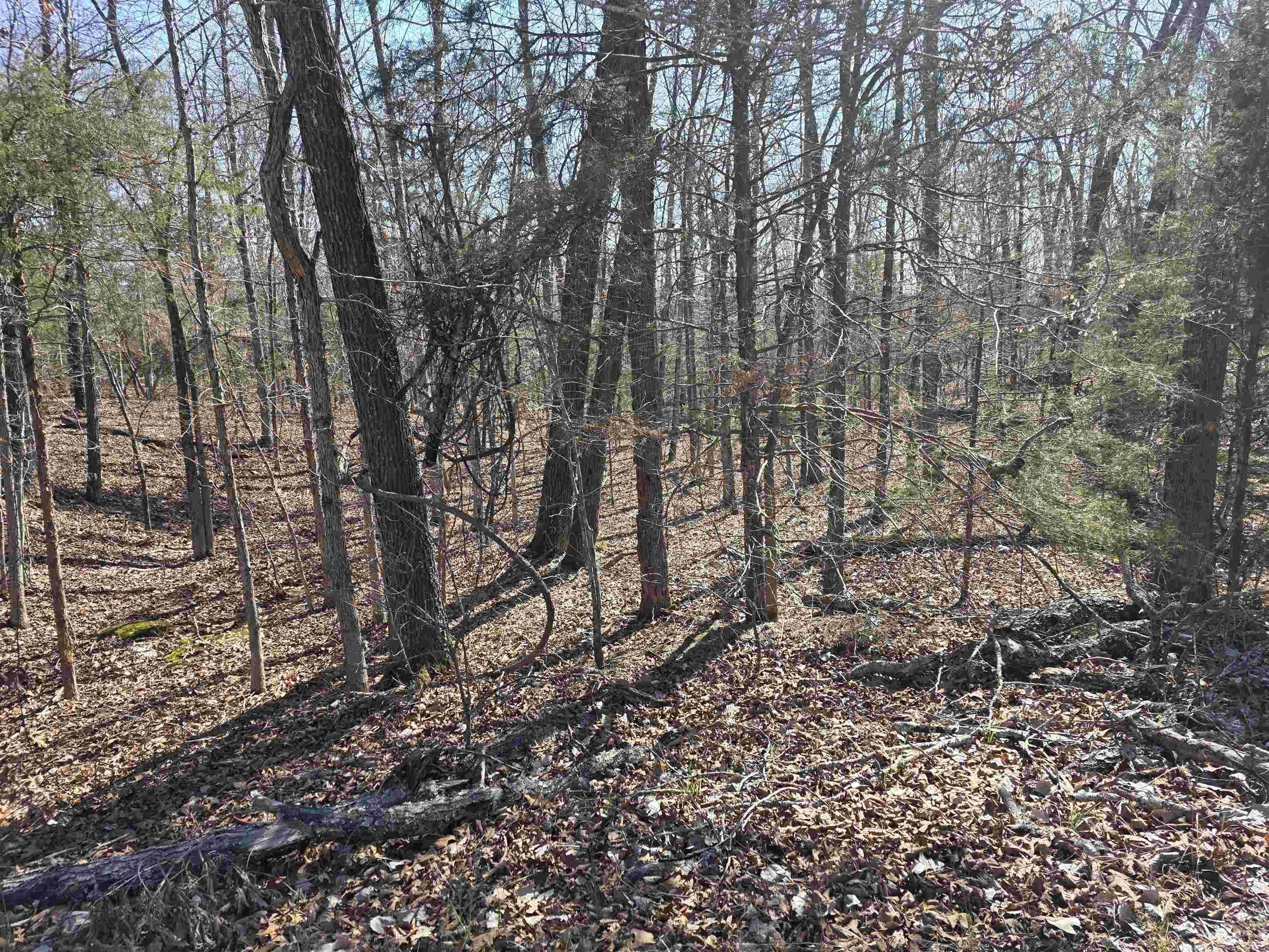 Photo 6 - Vacant Land for sale – L15 B8  Lochloosa   Cherokee Village, AR