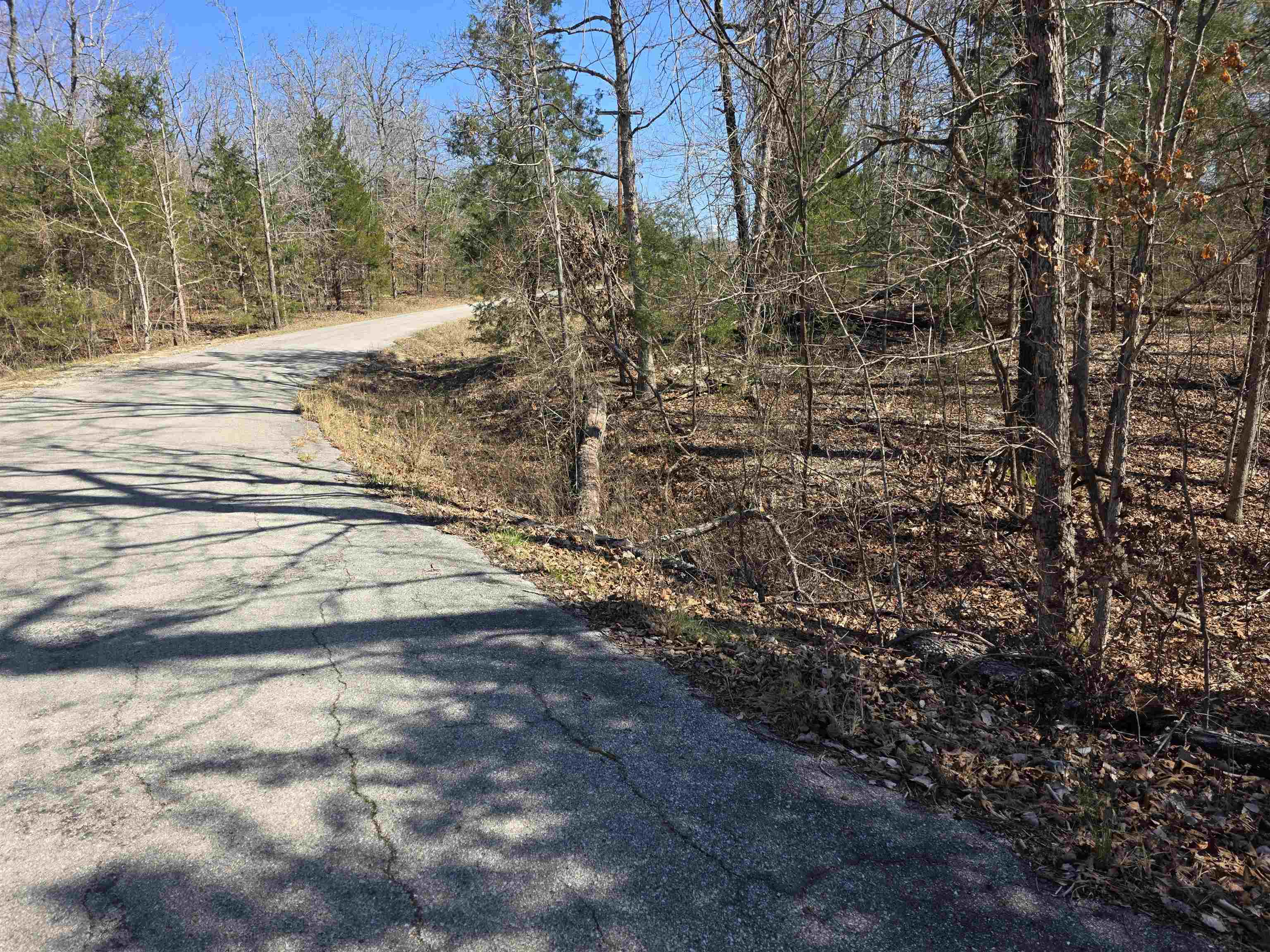 Photo 7 - Vacant Land for sale – L15 B8  Lochloosa   Cherokee Village, AR