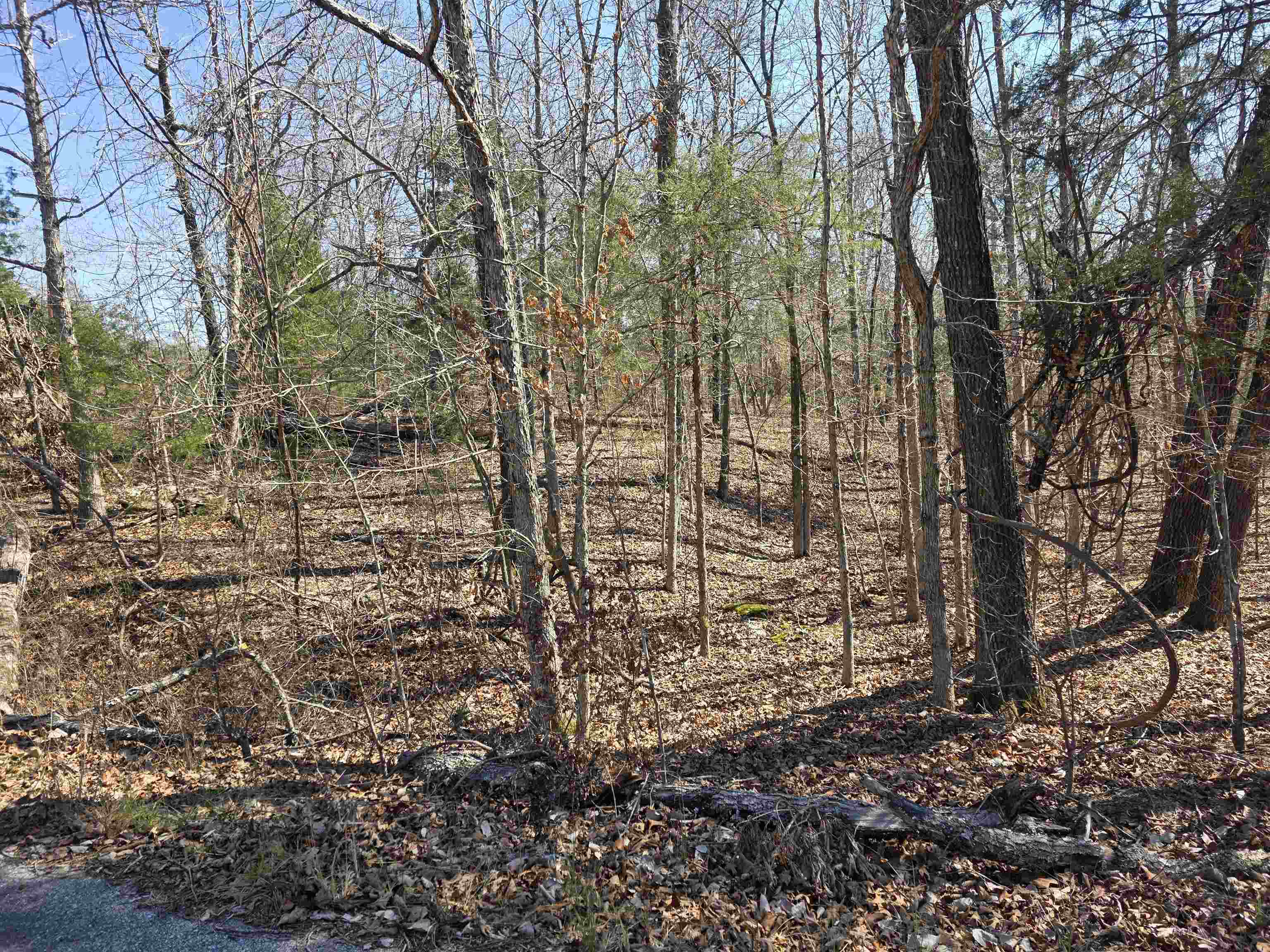 Photo 8 - Vacant Land for sale – L15 B8  Lochloosa   Cherokee Village, AR