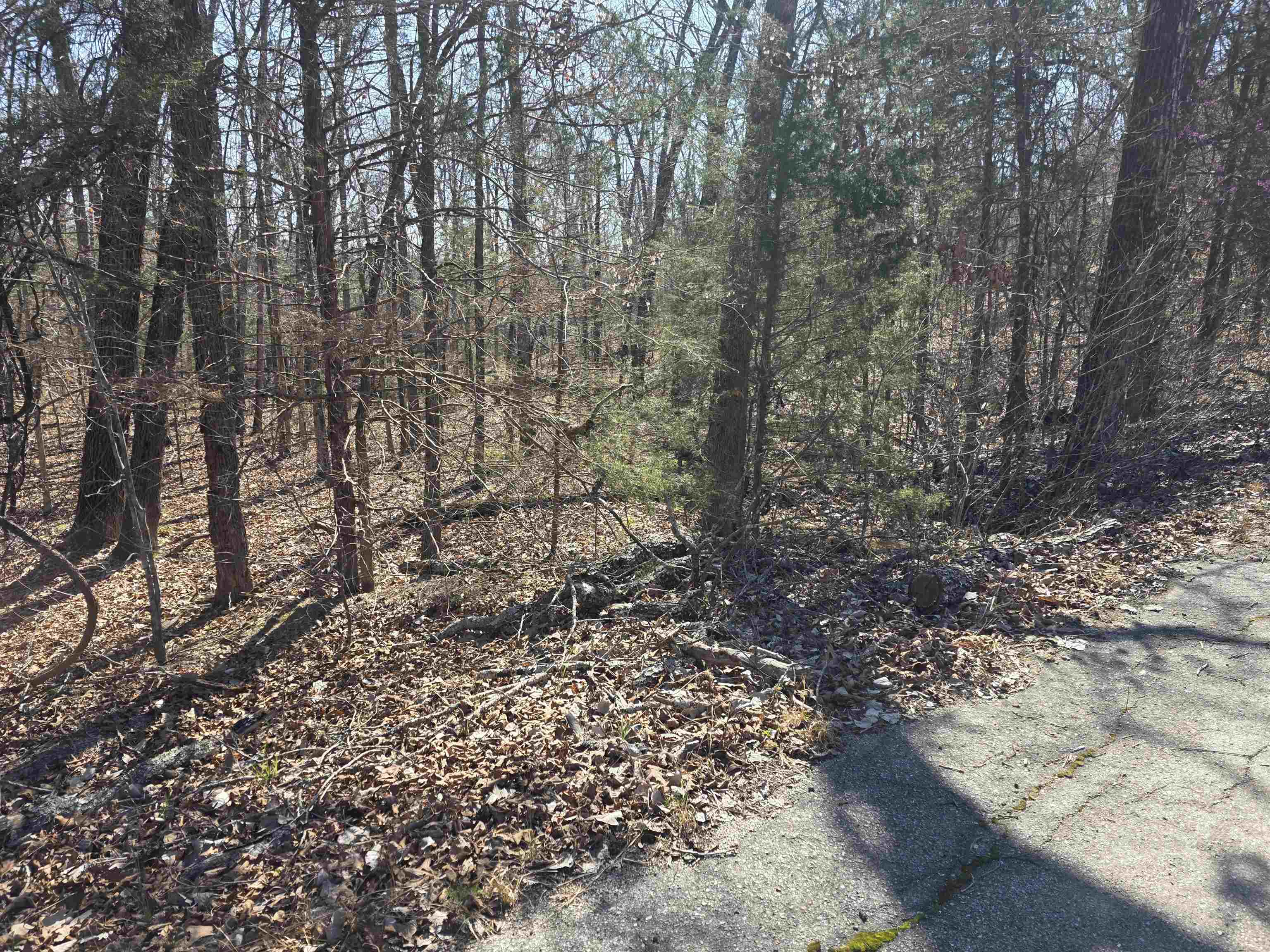 Photo 9 - Vacant Land for sale – L15 B8  Lochloosa   Cherokee Village, AR