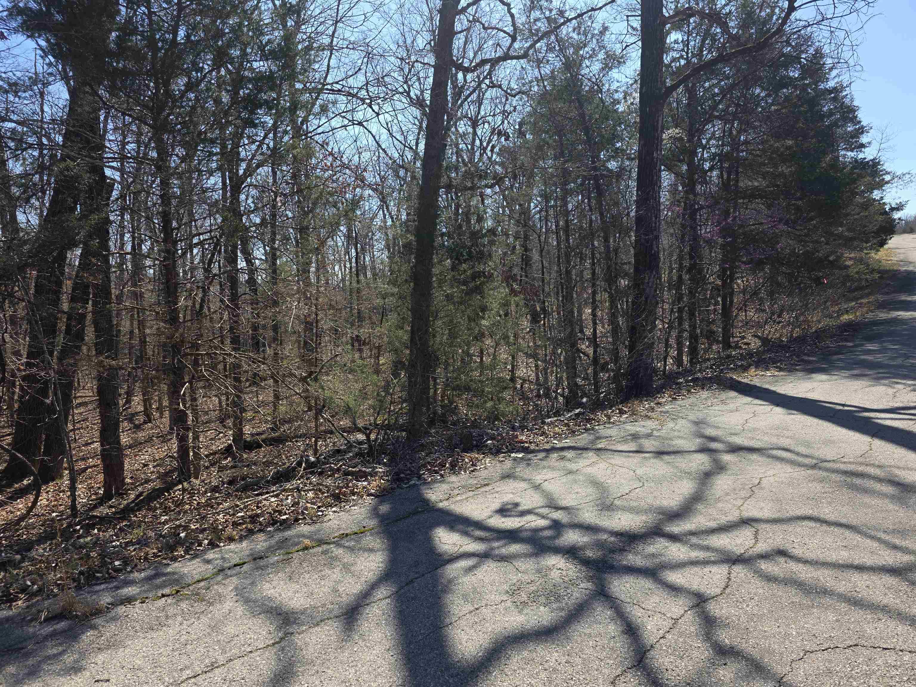 Photo 10 - Vacant Land for sale – L15 B8  Lochloosa   Cherokee Village, AR