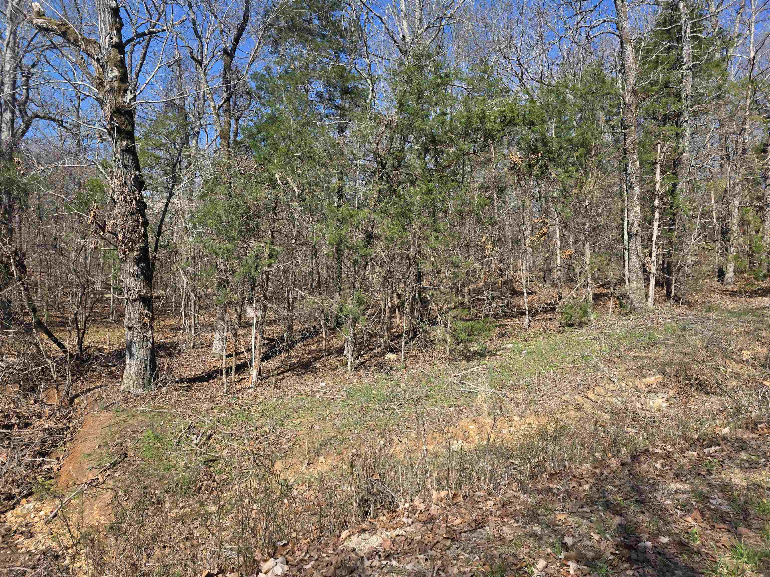 Photo 12 - Vacant Land for sale – L7 B8  Hopi   Cherokee Village, AR