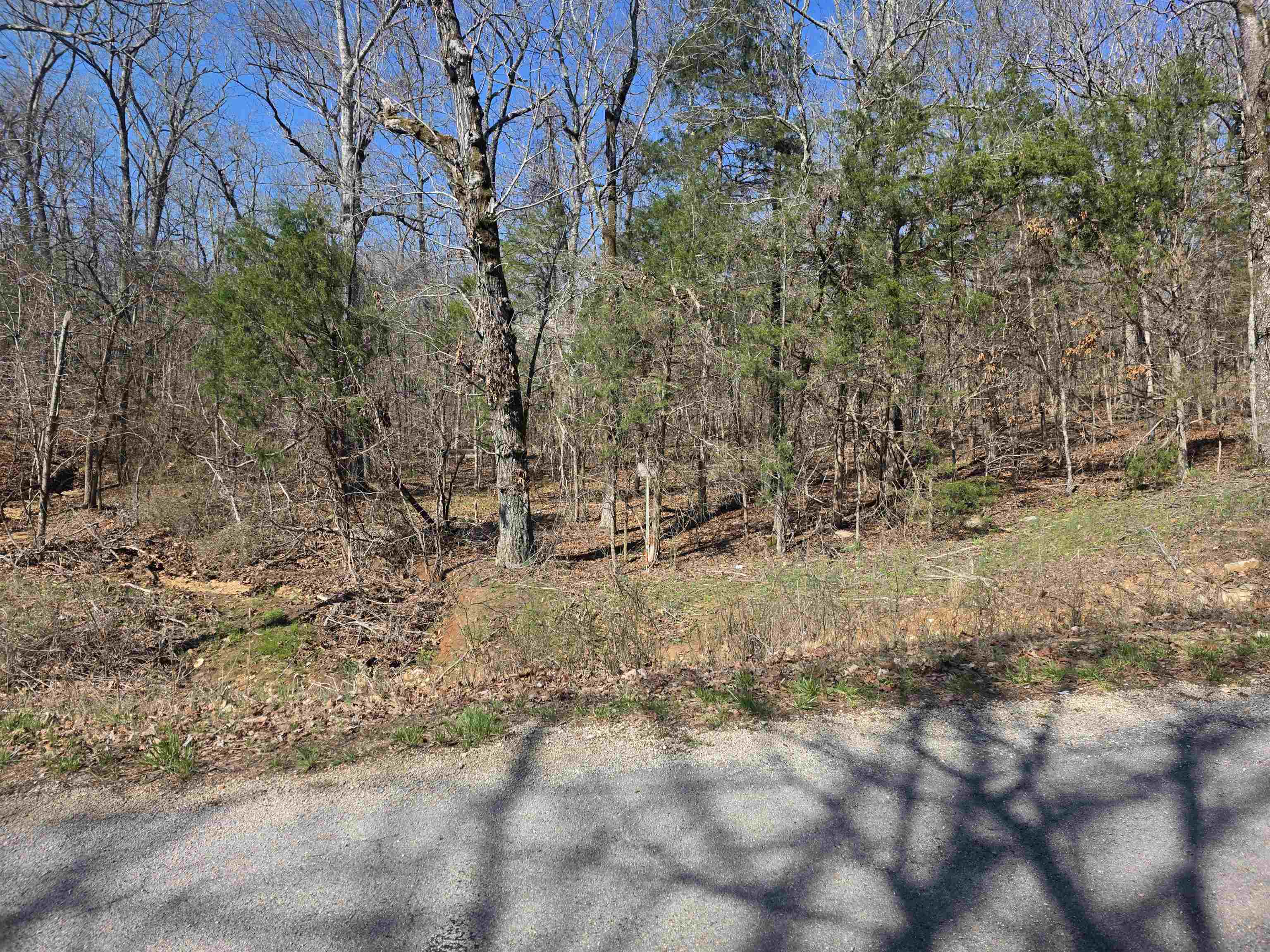 Photo 13 - Vacant Land for sale – L7 B8  Hopi   Cherokee Village, AR
