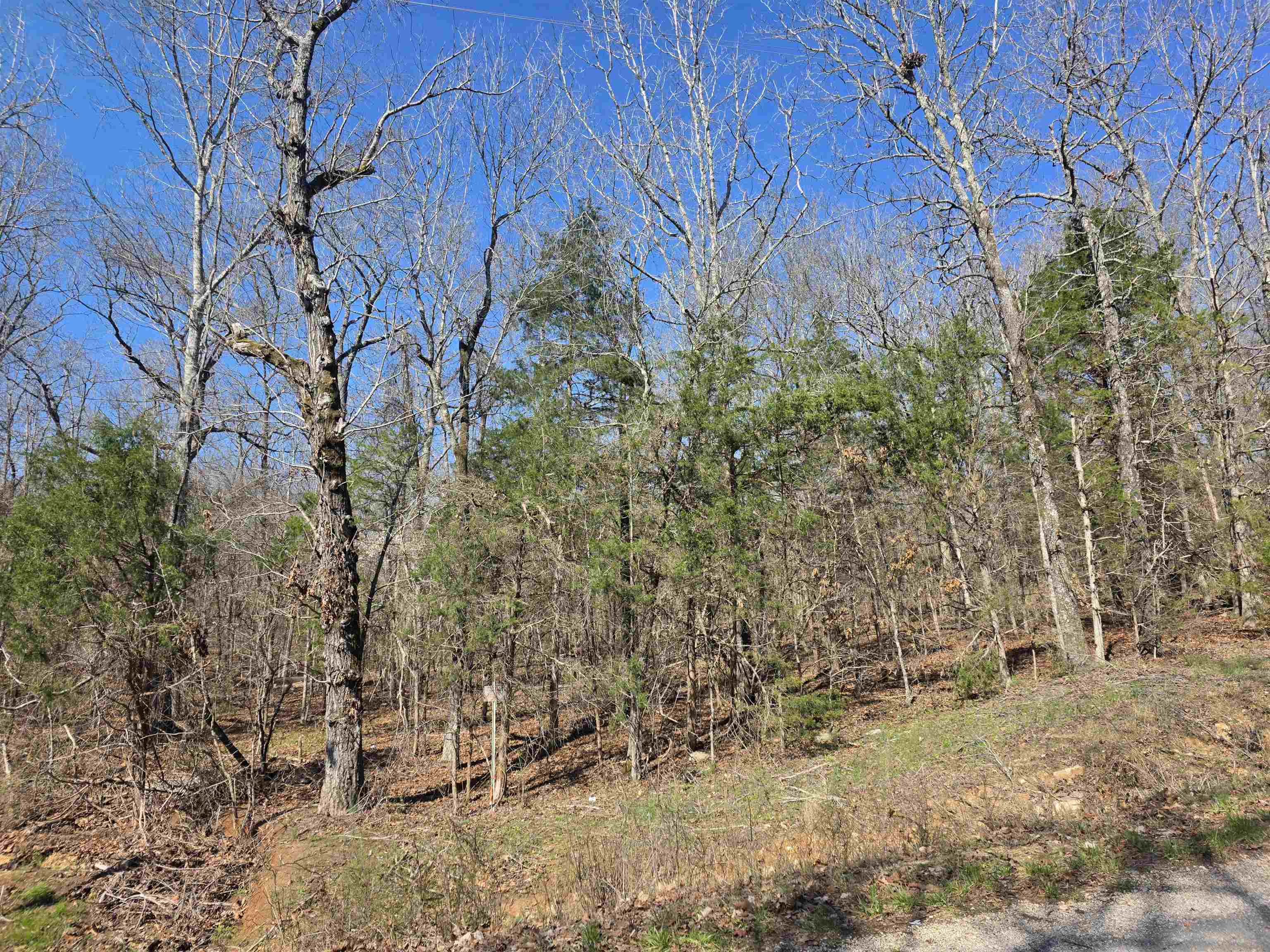 Photo 14 - Vacant Land for sale – L7 B8  Hopi   Cherokee Village, AR