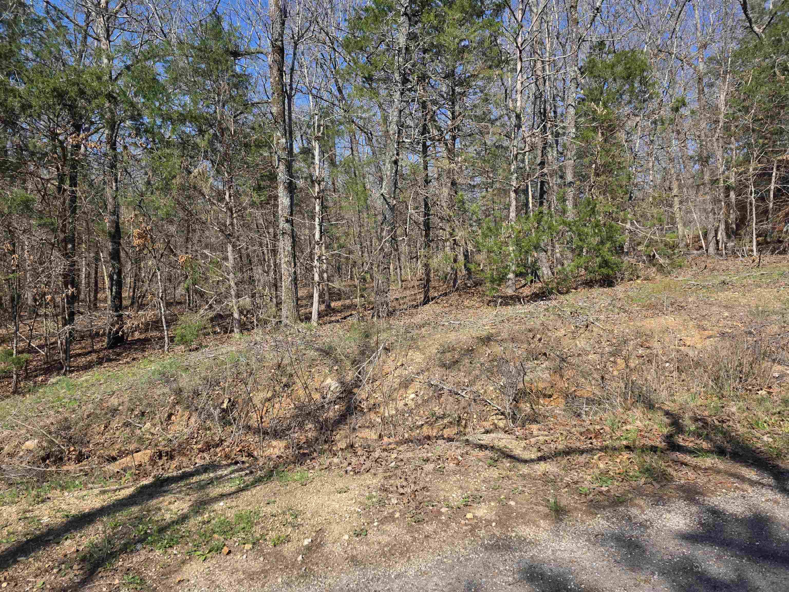 Photo 4 - Vacant Land for sale – L7 B8  Hopi   Cherokee Village, AR