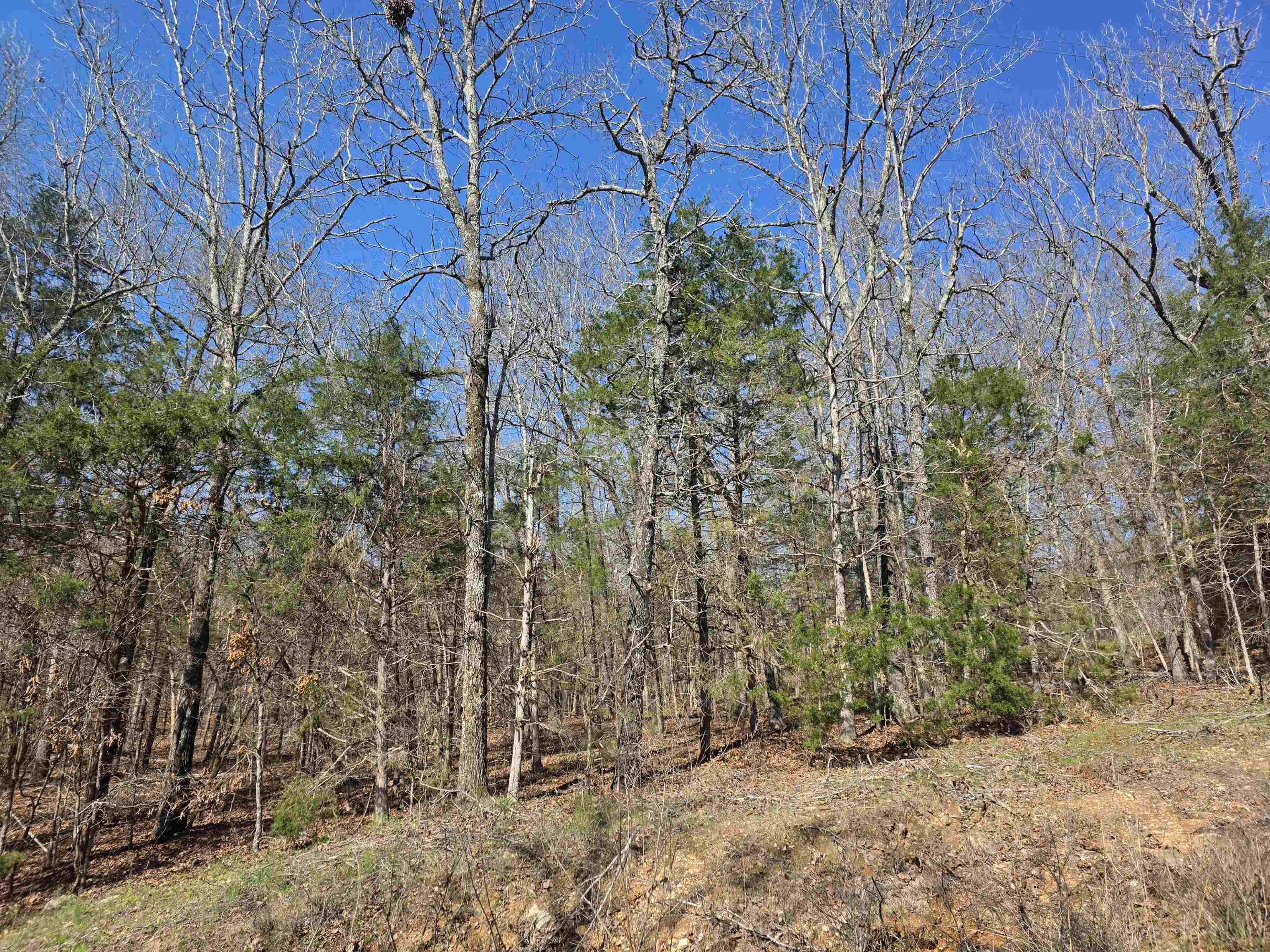 Photo 7 - Vacant Land for sale – L7 B8  Hopi   Cherokee Village, AR