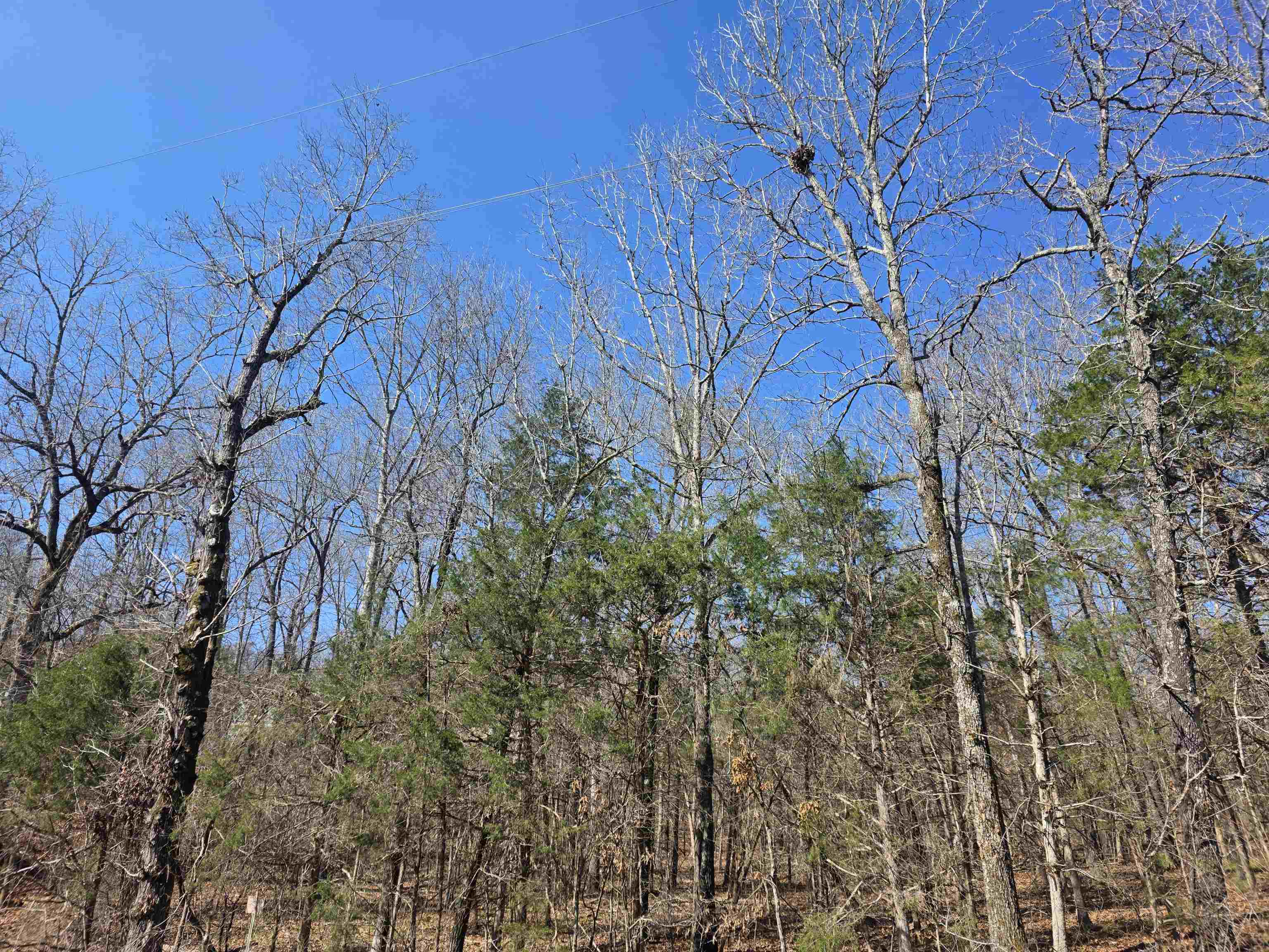 Photo 8 - Vacant Land for sale – L7 B8  Hopi   Cherokee Village, AR