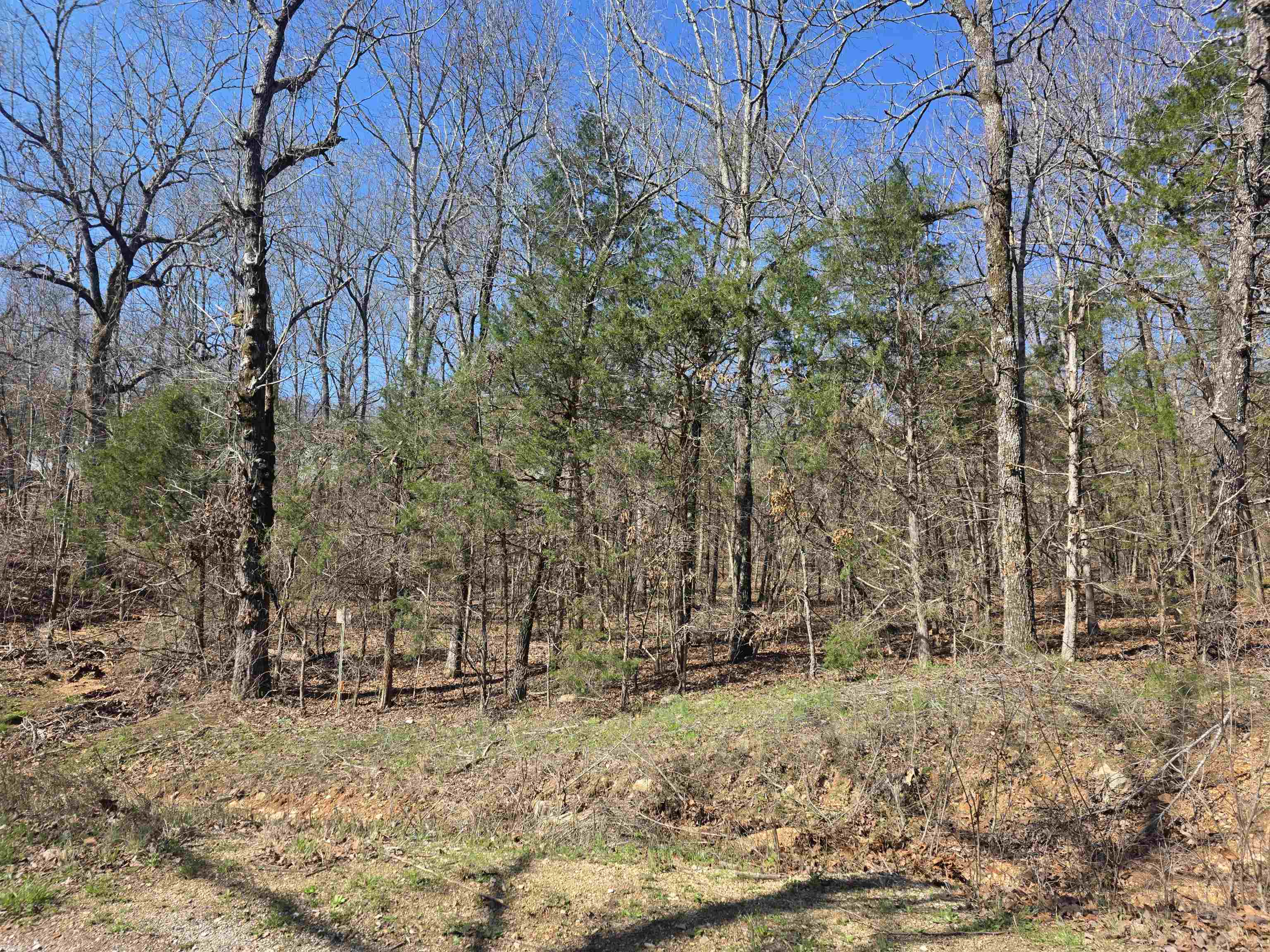 Photo 9 - Vacant Land for sale – L7 B8  Hopi   Cherokee Village, AR