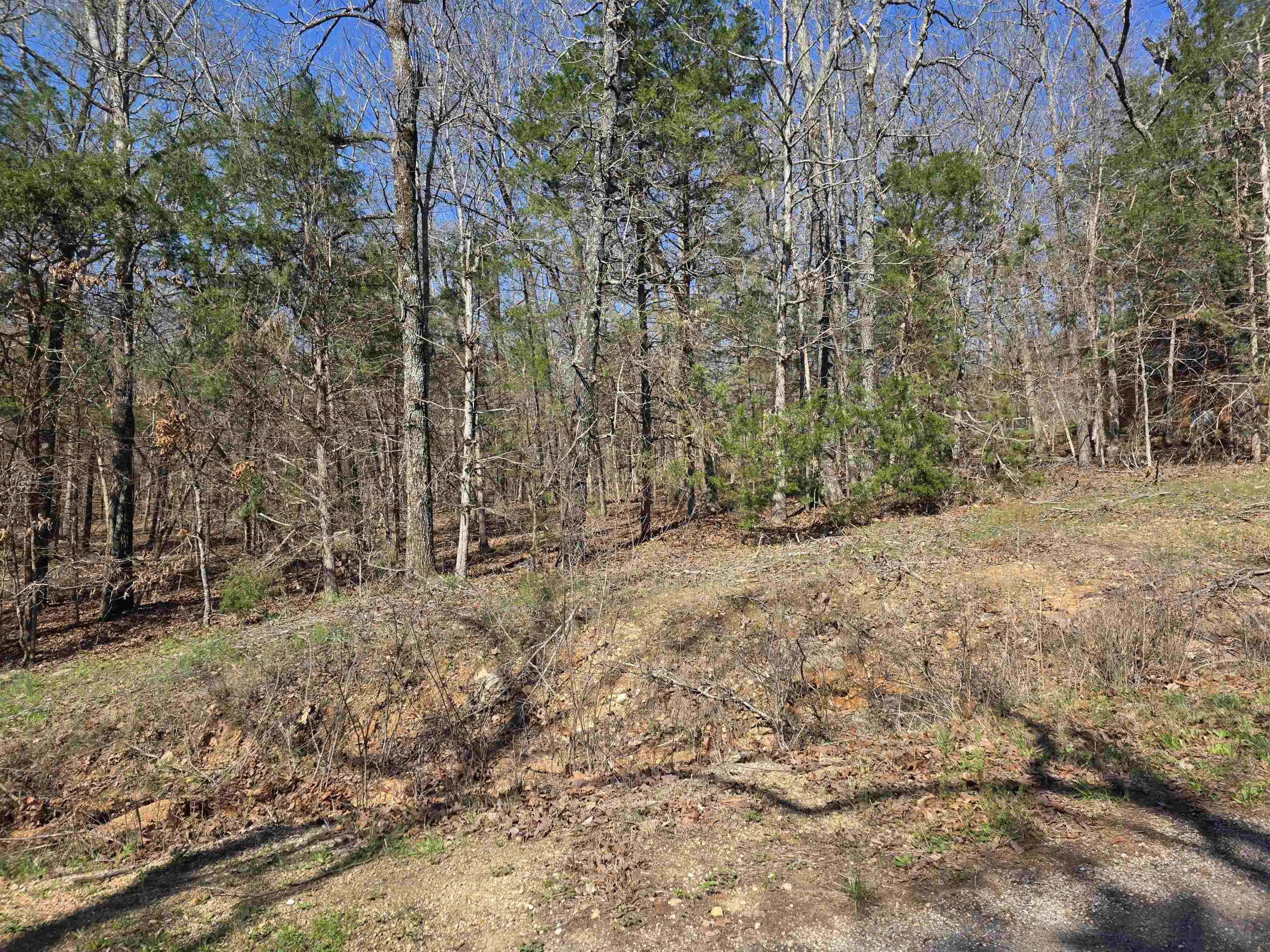 Photo 10 - Vacant Land for sale – L7 B8  Hopi   Cherokee Village, AR