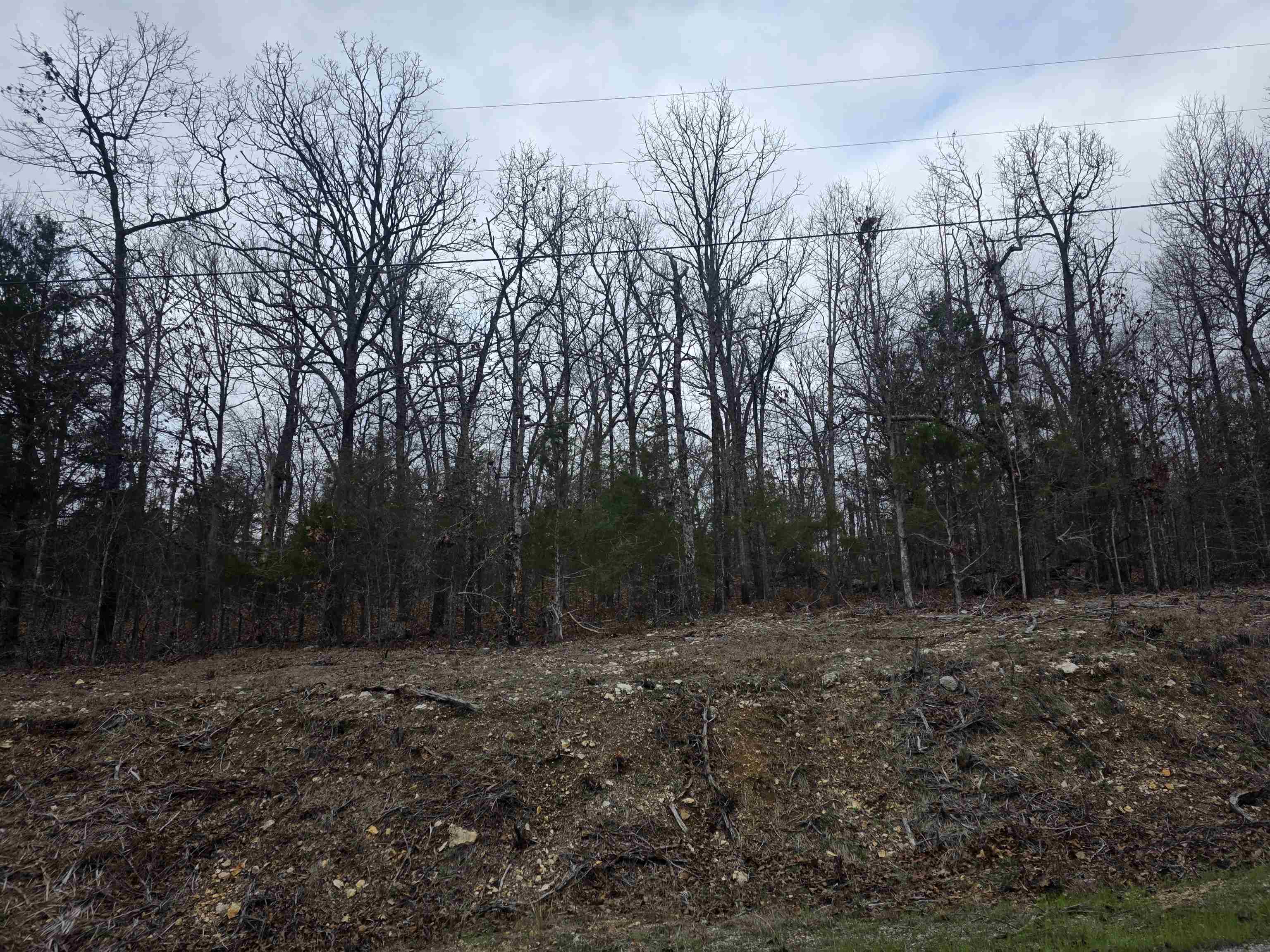 Vacant Land for sale – L37 B6  Wabash   Cherokee Village, AR