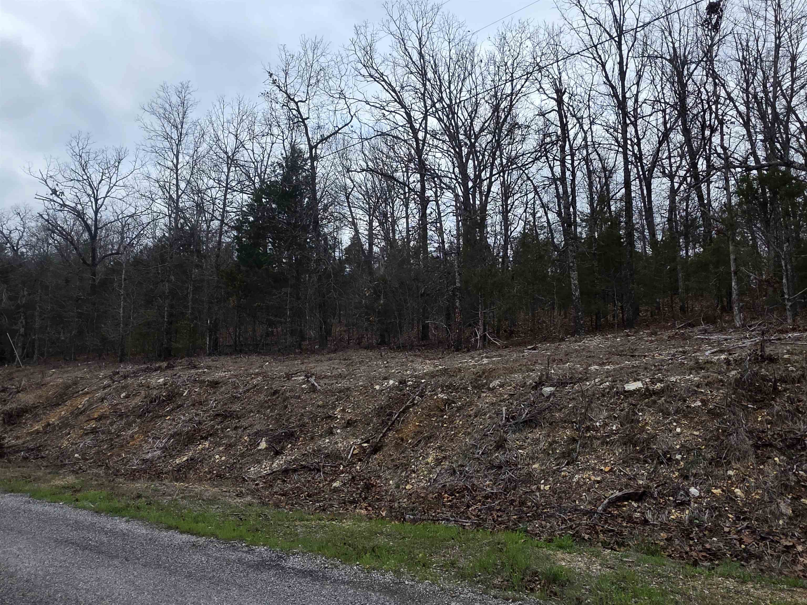 Photo 2 - Vacant Land for sale – L37 B6  Wabash   Cherokee Village, AR