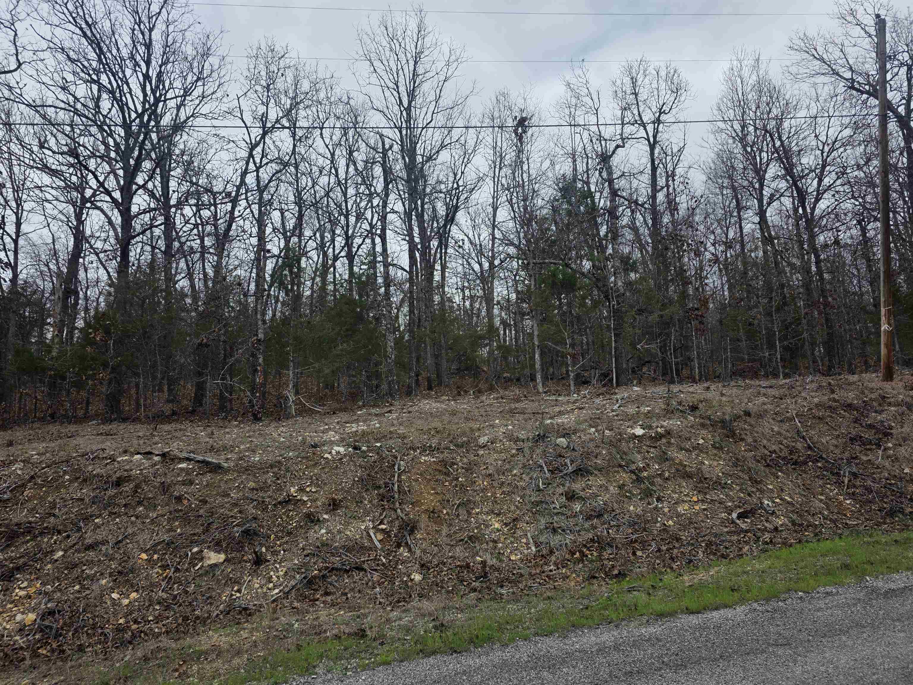 Photo 11 - Vacant Land for sale – L37 B6  Wabash   Cherokee Village, AR