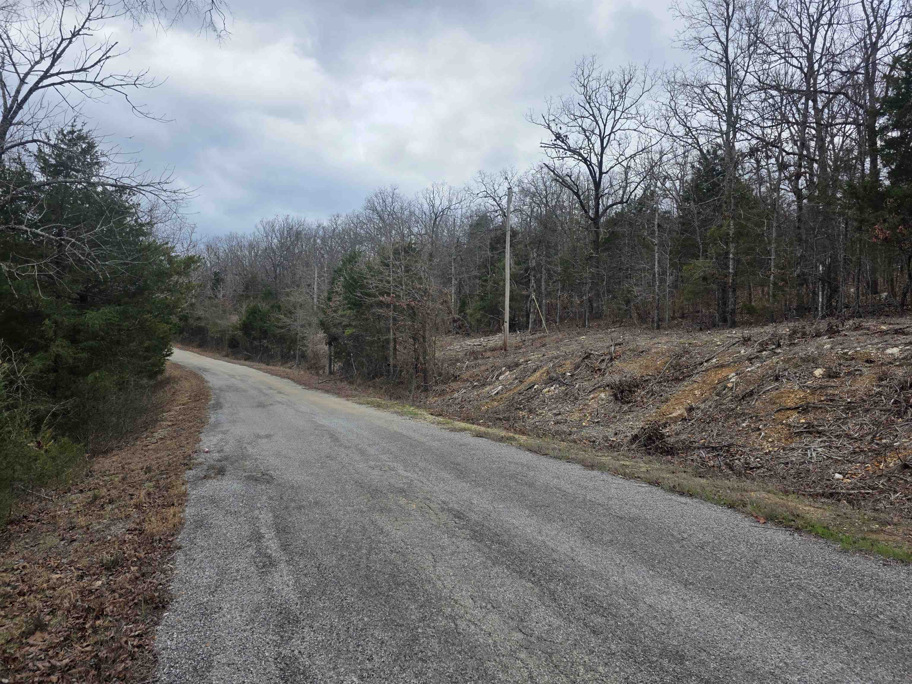 Photo 12 - Vacant Land for sale – L37 B6  Wabash   Cherokee Village, AR