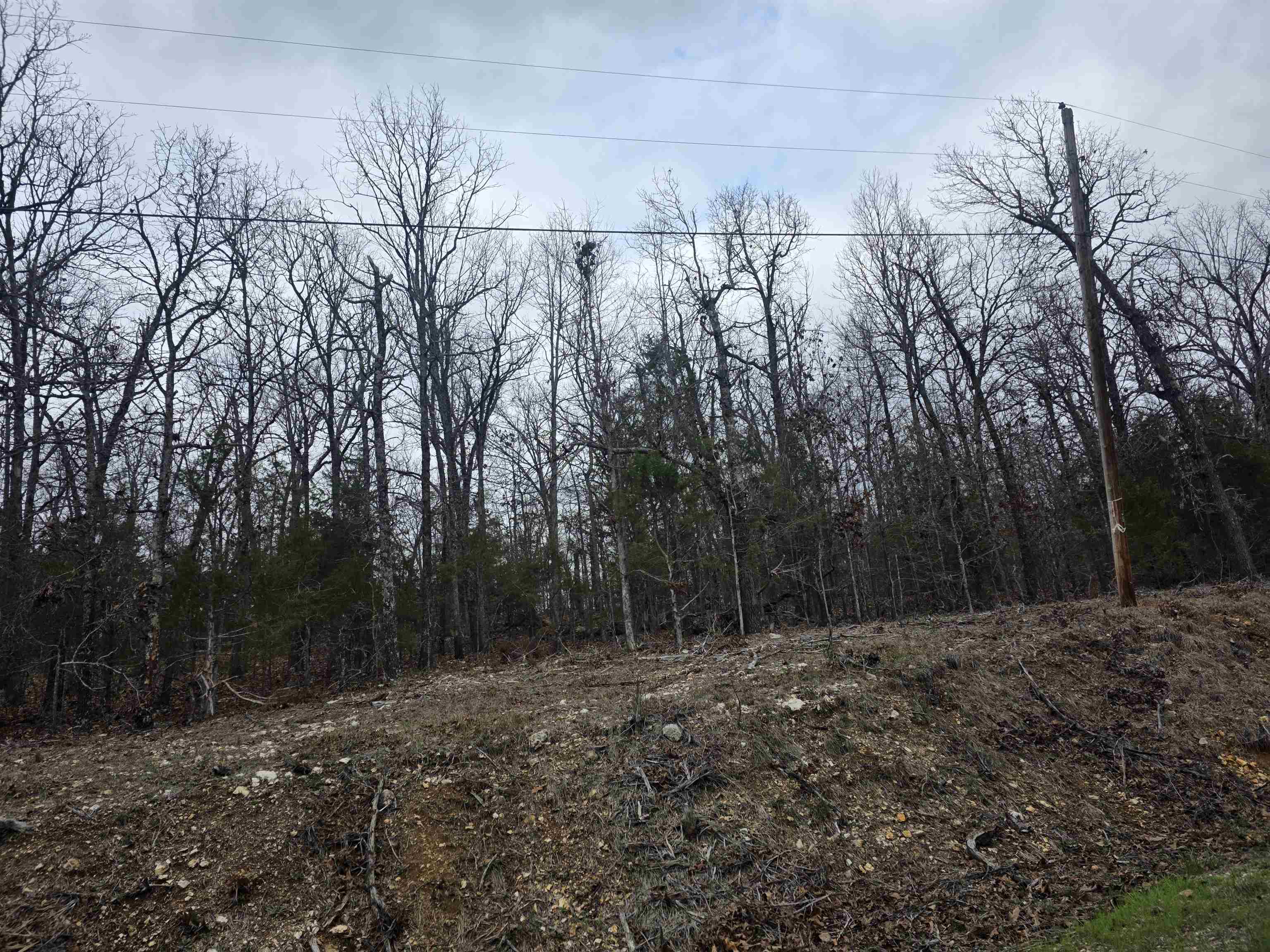 Photo 14 - Vacant Land for sale – L37 B6  Wabash   Cherokee Village, AR