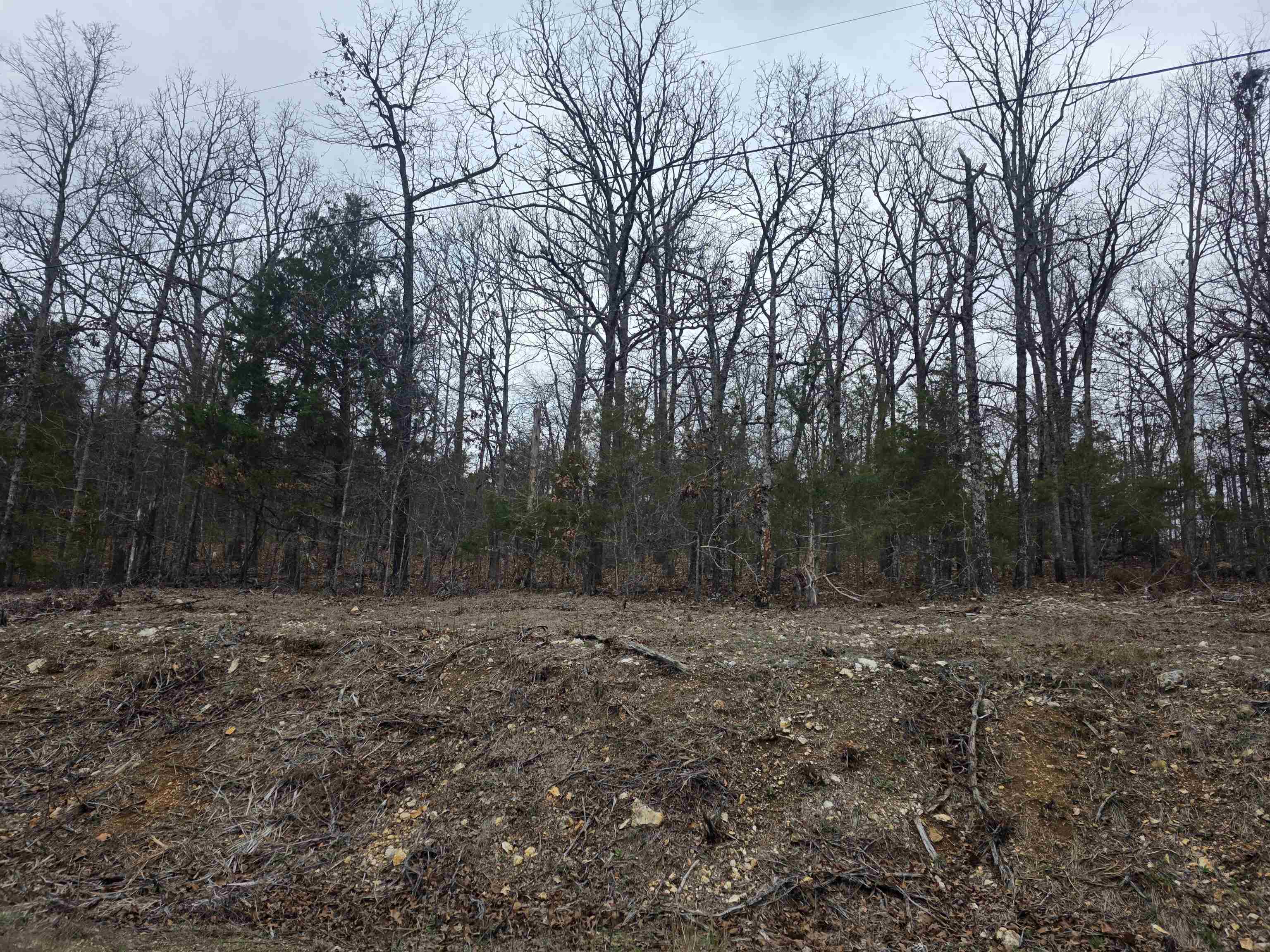 Photo 15 - Vacant Land for sale – L37 B6  Wabash   Cherokee Village, AR