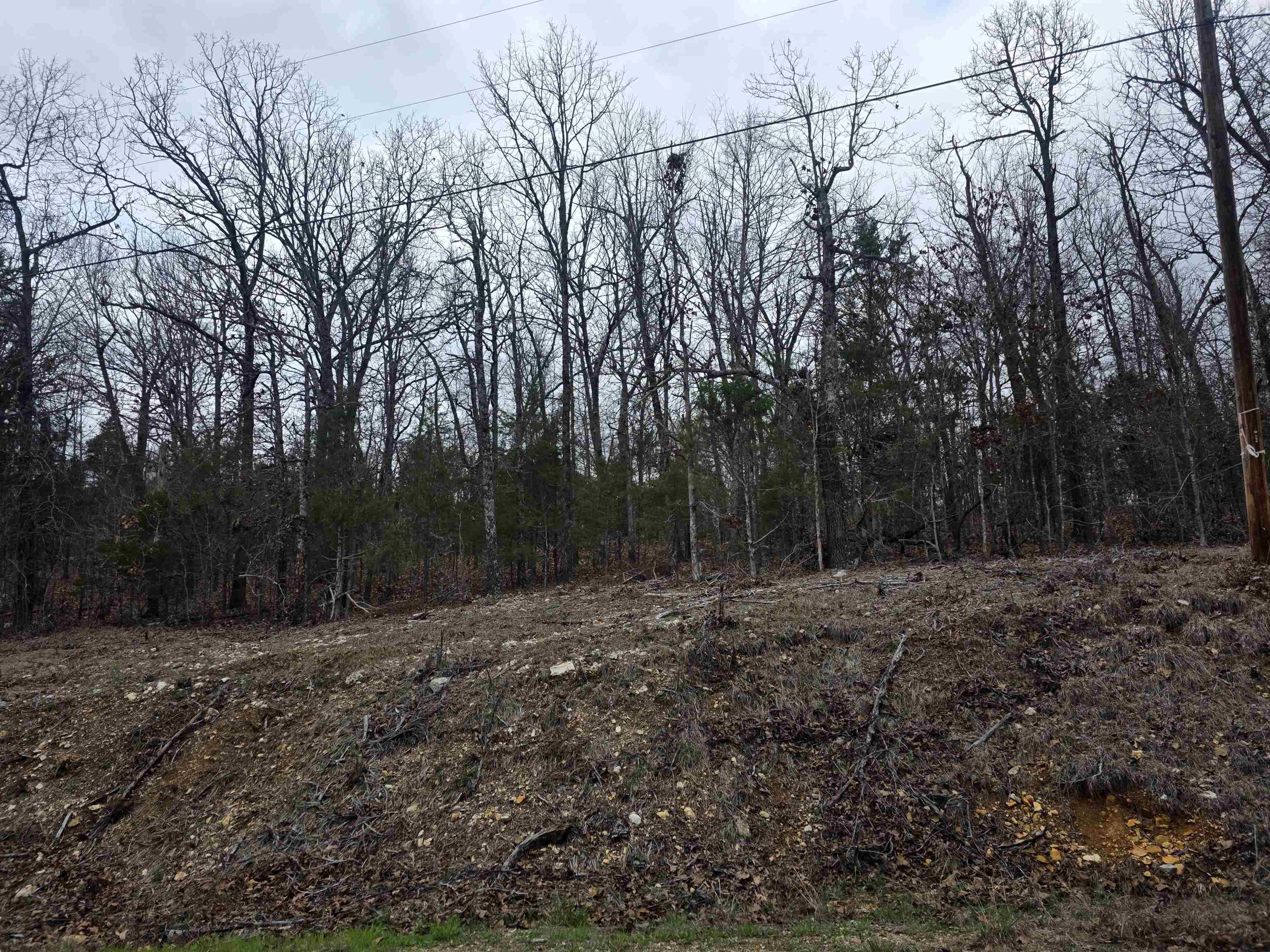 Photo 3 - Vacant Land for sale – L37 B6  Wabash   Cherokee Village, AR