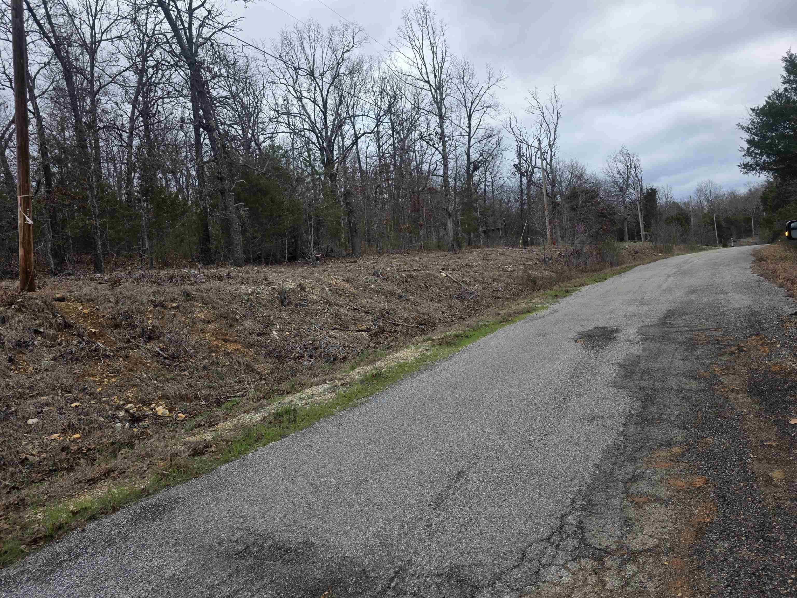 Photo 4 - Vacant Land for sale – L37 B6  Wabash   Cherokee Village, AR