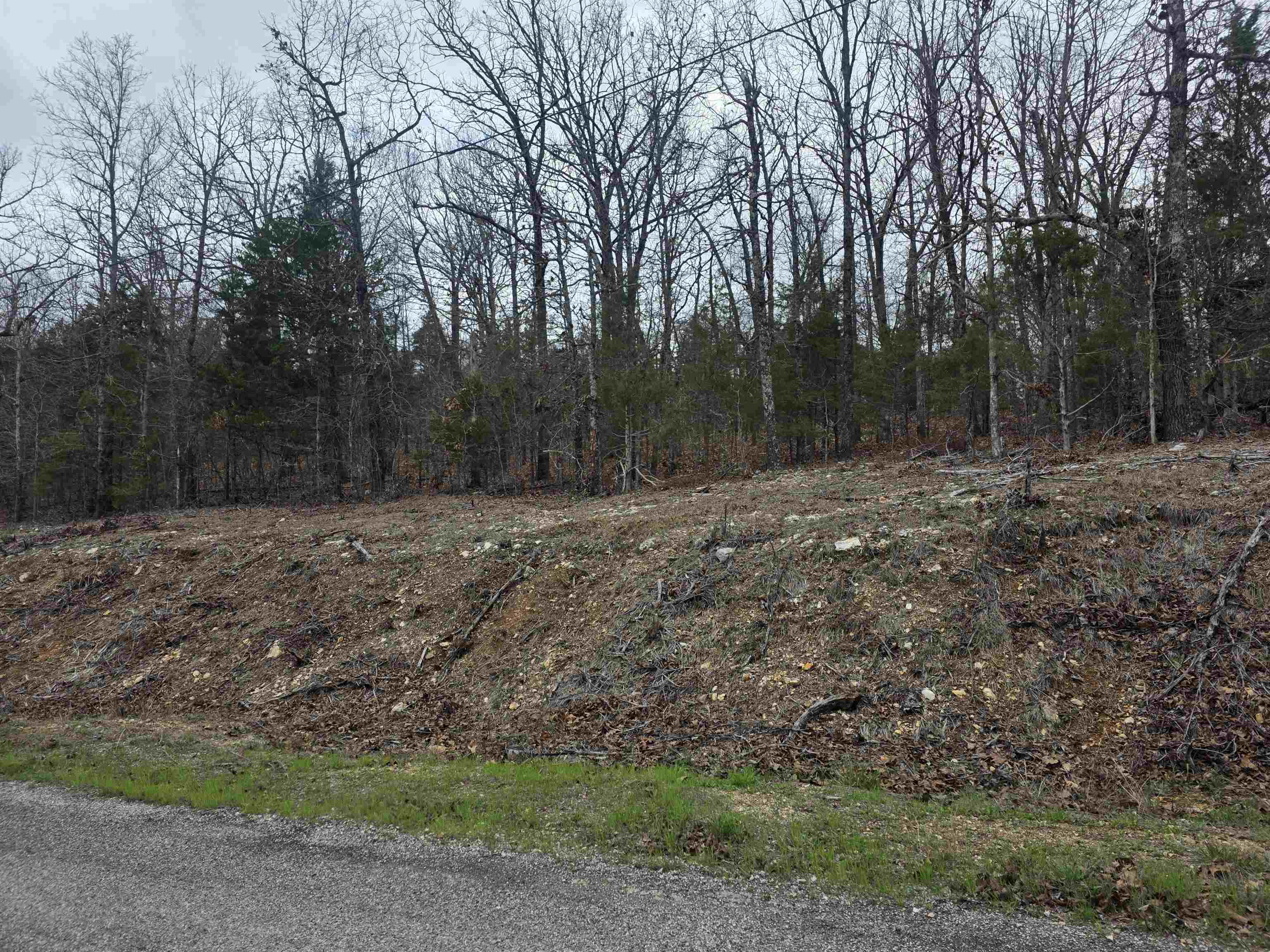 Photo 5 - Vacant Land for sale – L37 B6  Wabash   Cherokee Village, AR