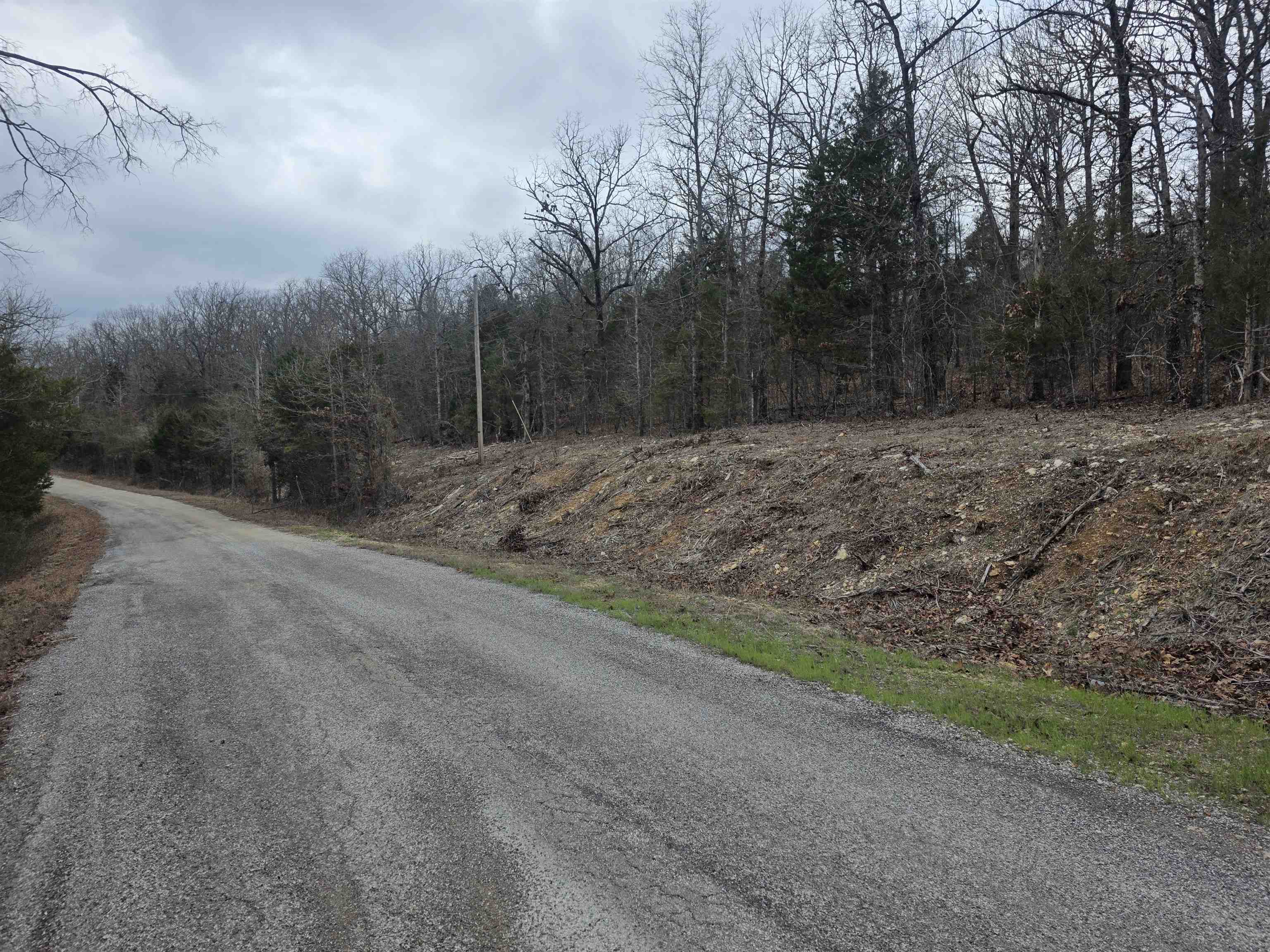 Photo 6 - Vacant Land for sale – L37 B6  Wabash   Cherokee Village, AR