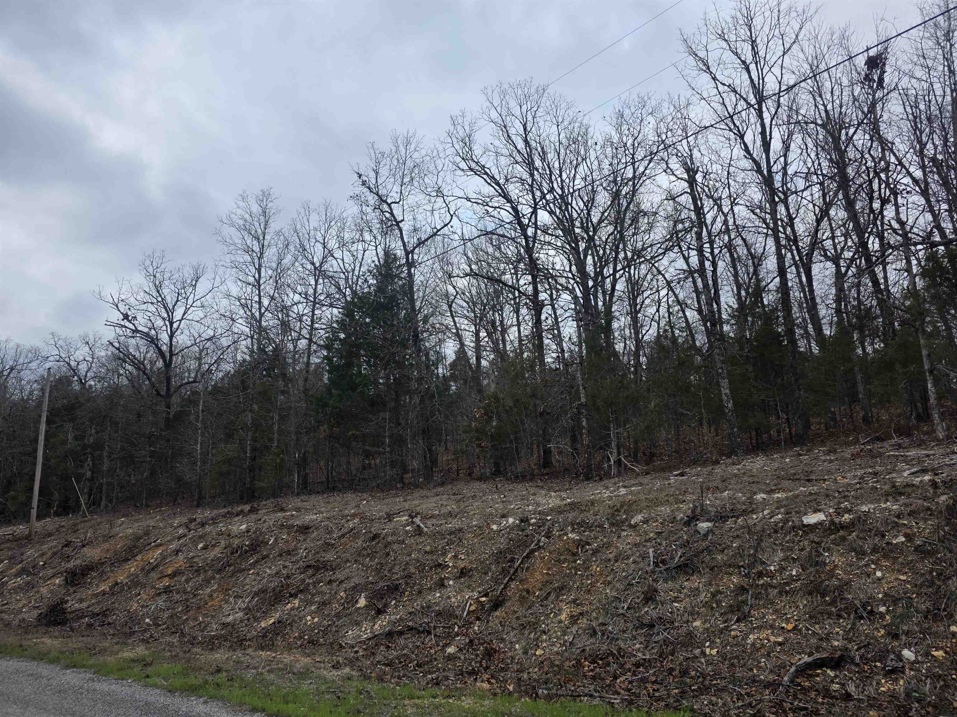 Photo 7 - Vacant Land for sale – L37 B6  Wabash   Cherokee Village, AR