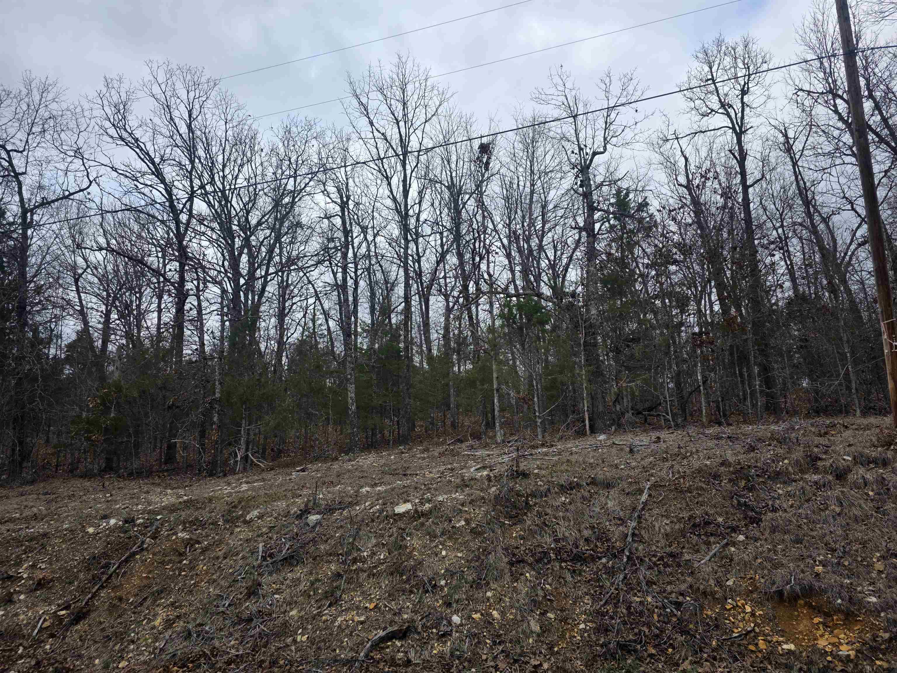 Photo 8 - Vacant Land for sale – L37 B6  Wabash   Cherokee Village, AR