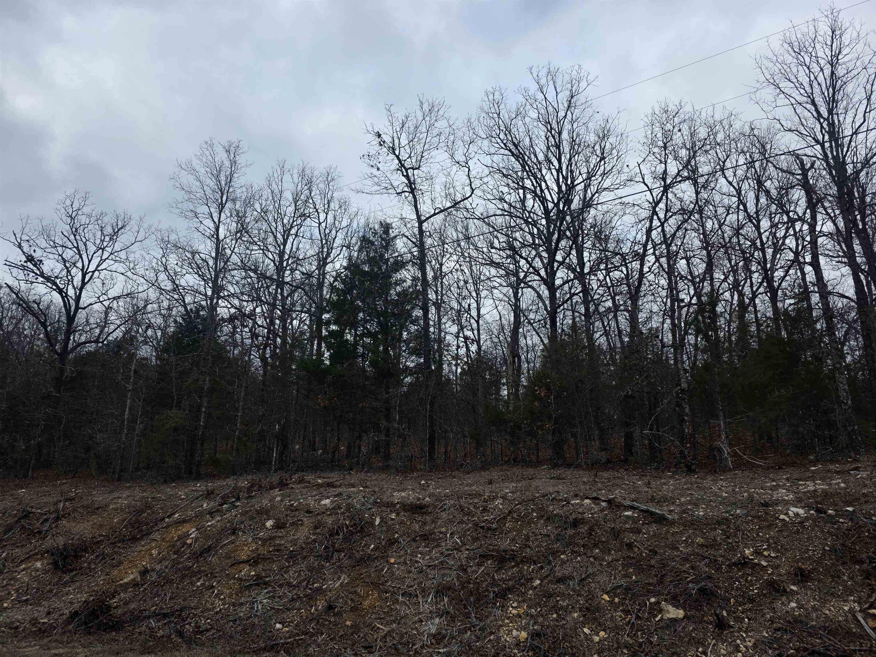 Photo 9 - Vacant Land for sale – L37 B6  Wabash   Cherokee Village, AR