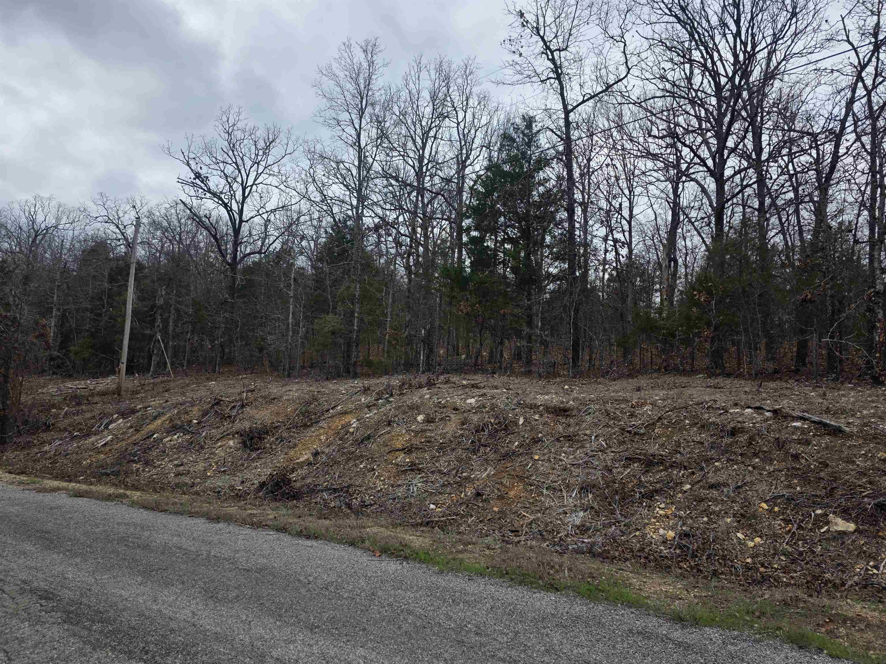 Photo 10 - Vacant Land for sale – L37 B6  Wabash   Cherokee Village, AR