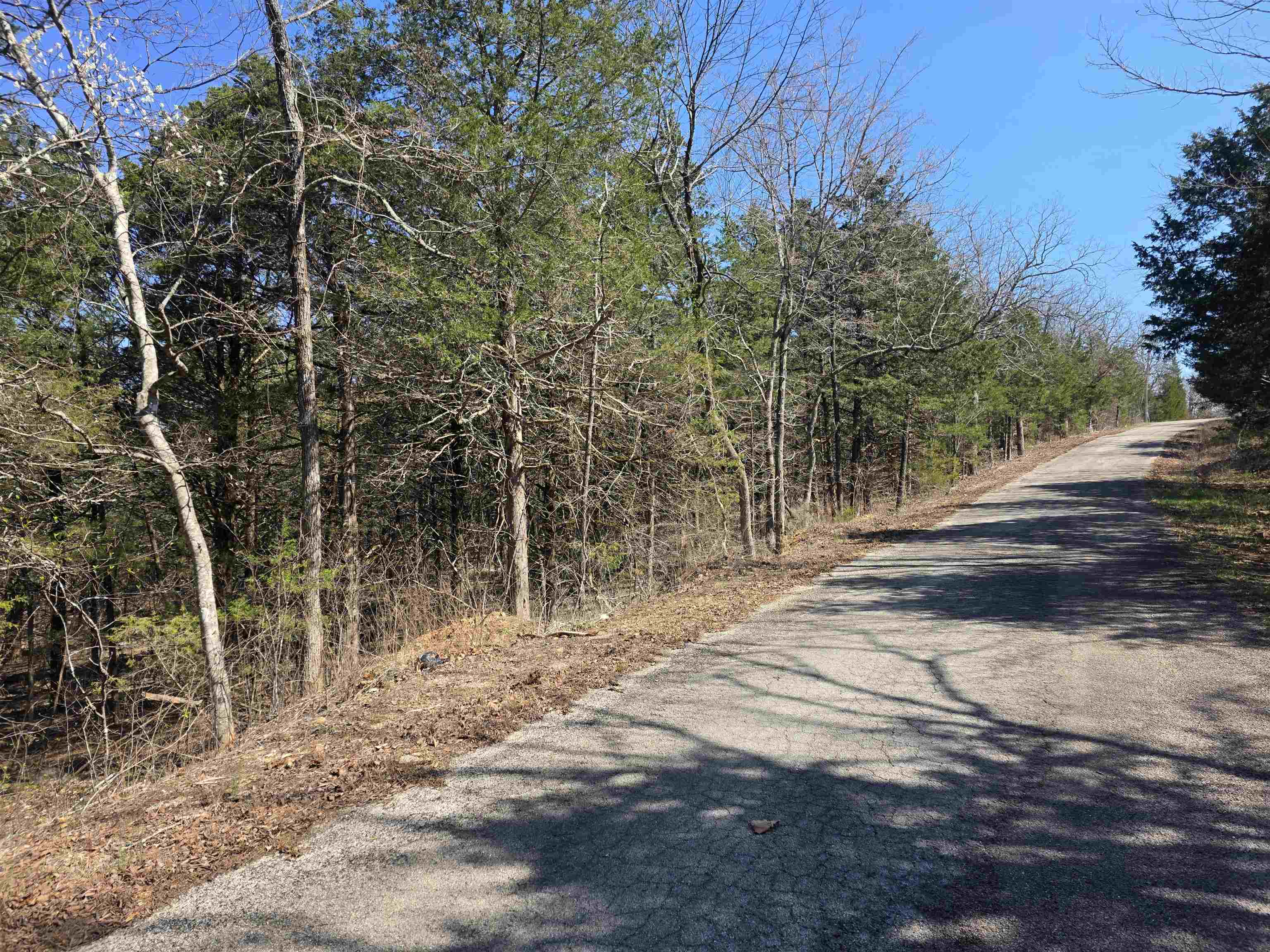 Photo 2 - Vacant Land for sale – L12 B1  Hernando   Cherokee Village, AR