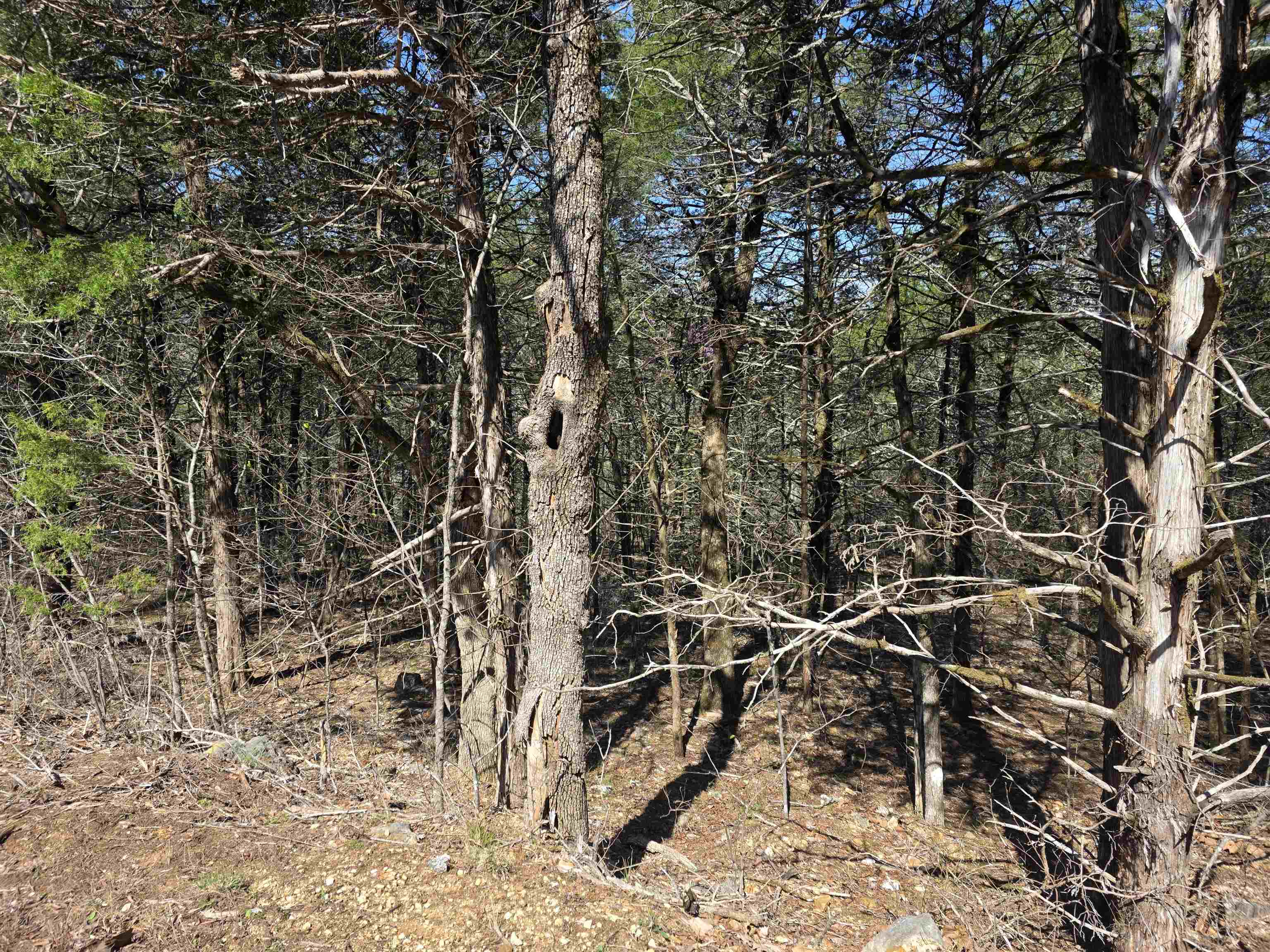 Photo 11 - Vacant Land for sale – L12 B1  Hernando   Cherokee Village, AR