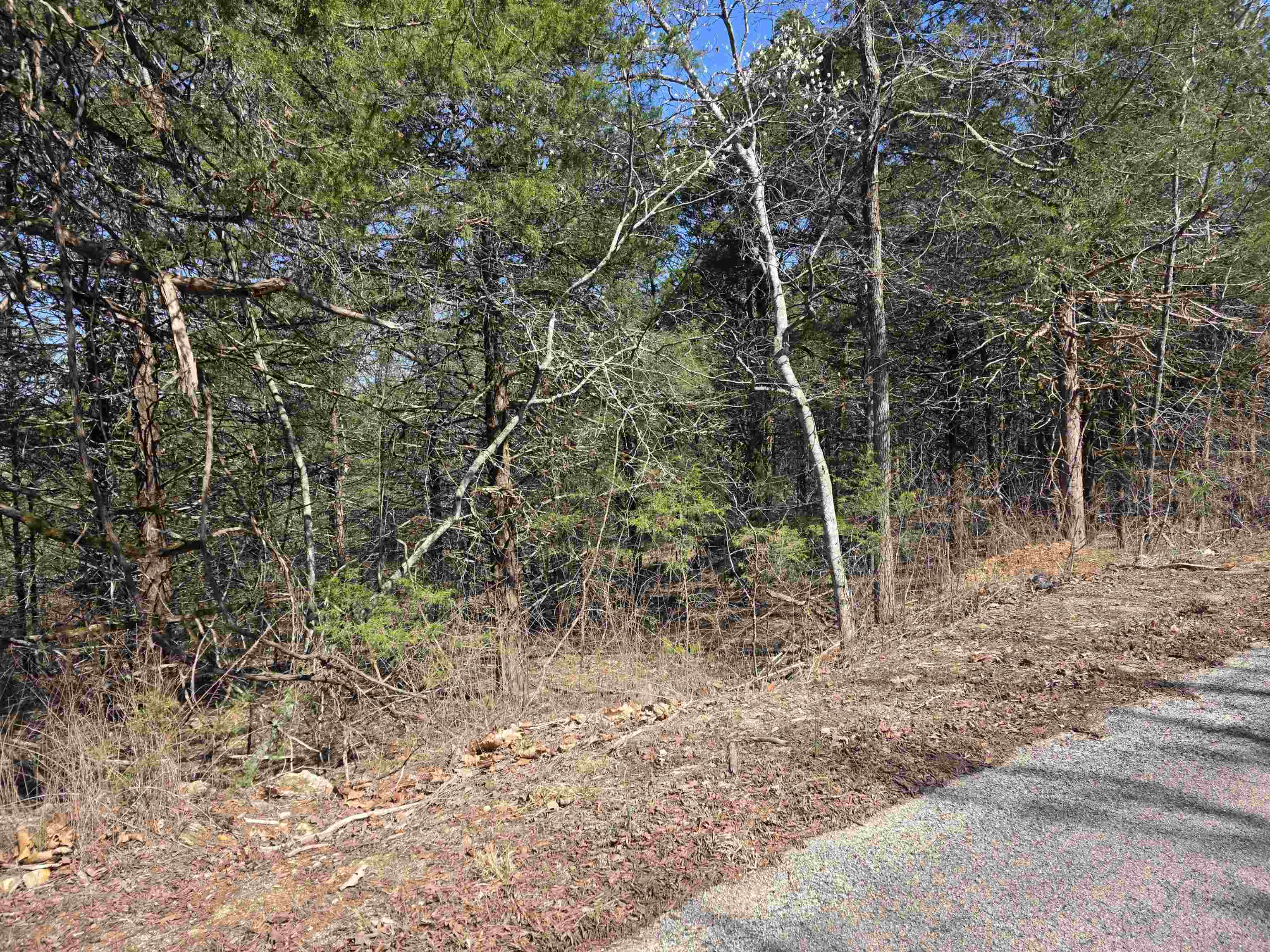 Photo 3 - Vacant Land for sale – L12 B1  Hernando   Cherokee Village, AR