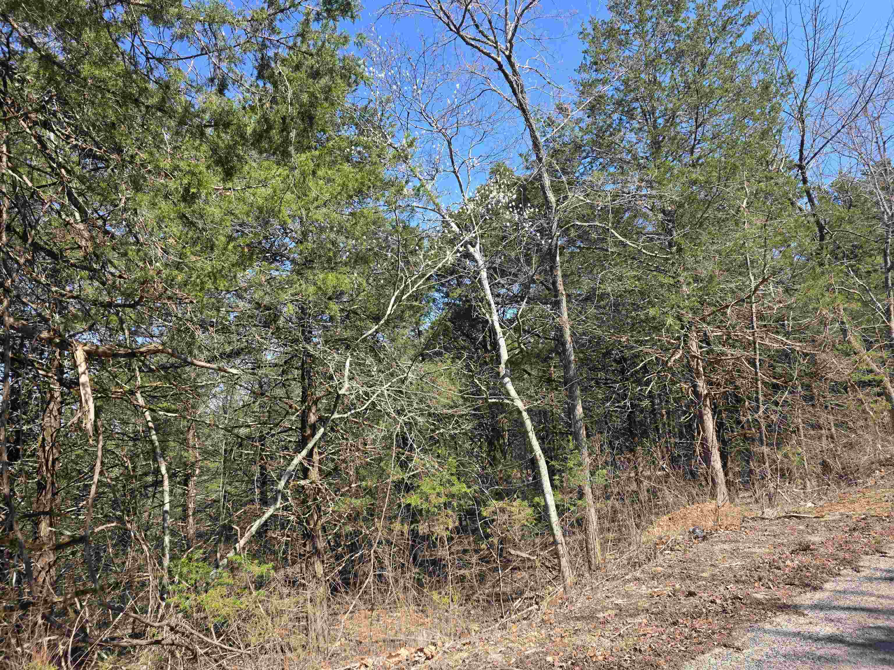 Photo 4 - Vacant Land for sale – L12 B1  Hernando   Cherokee Village, AR