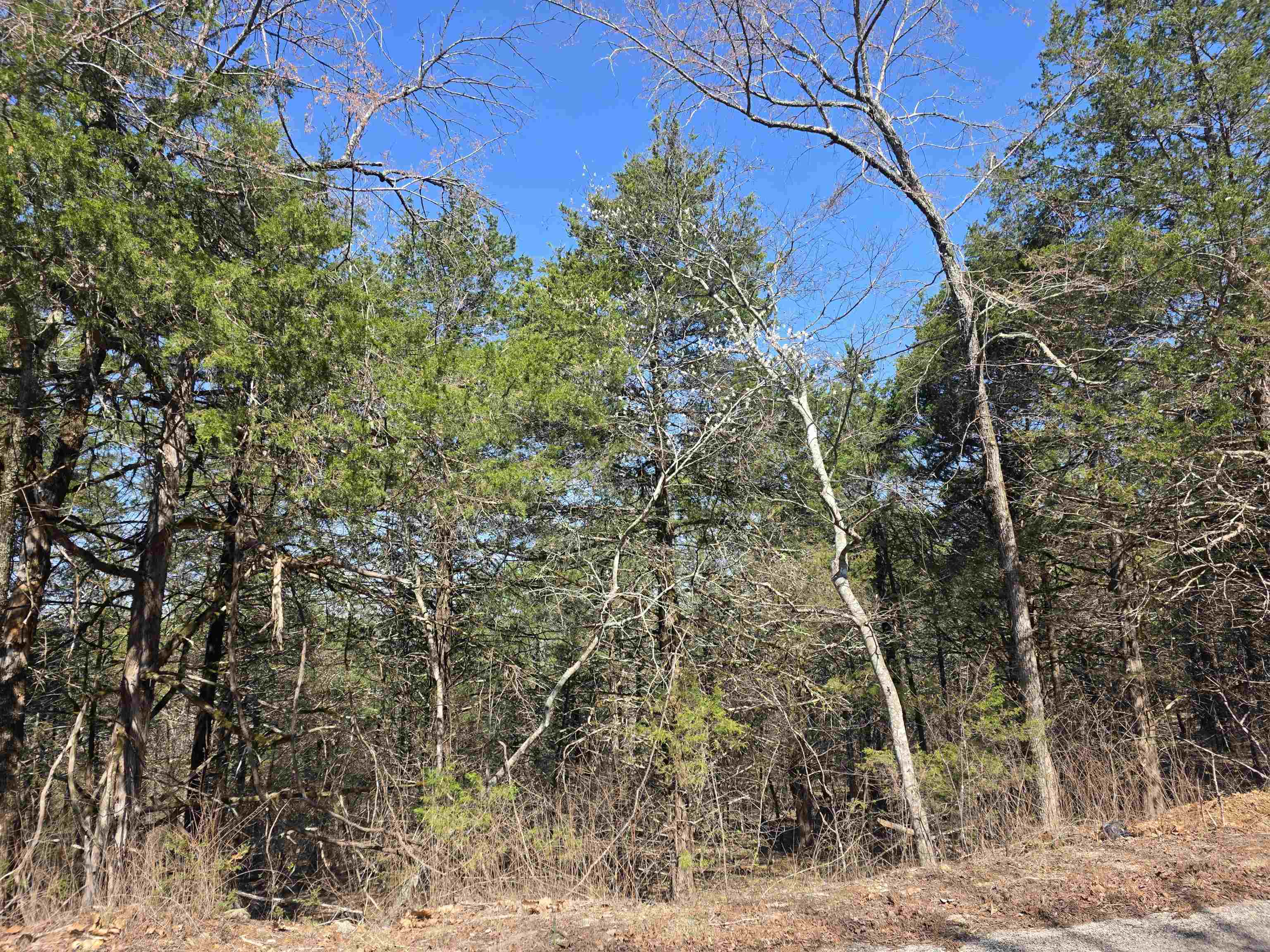 Photo 5 - Vacant Land for sale – L12 B1  Hernando   Cherokee Village, AR