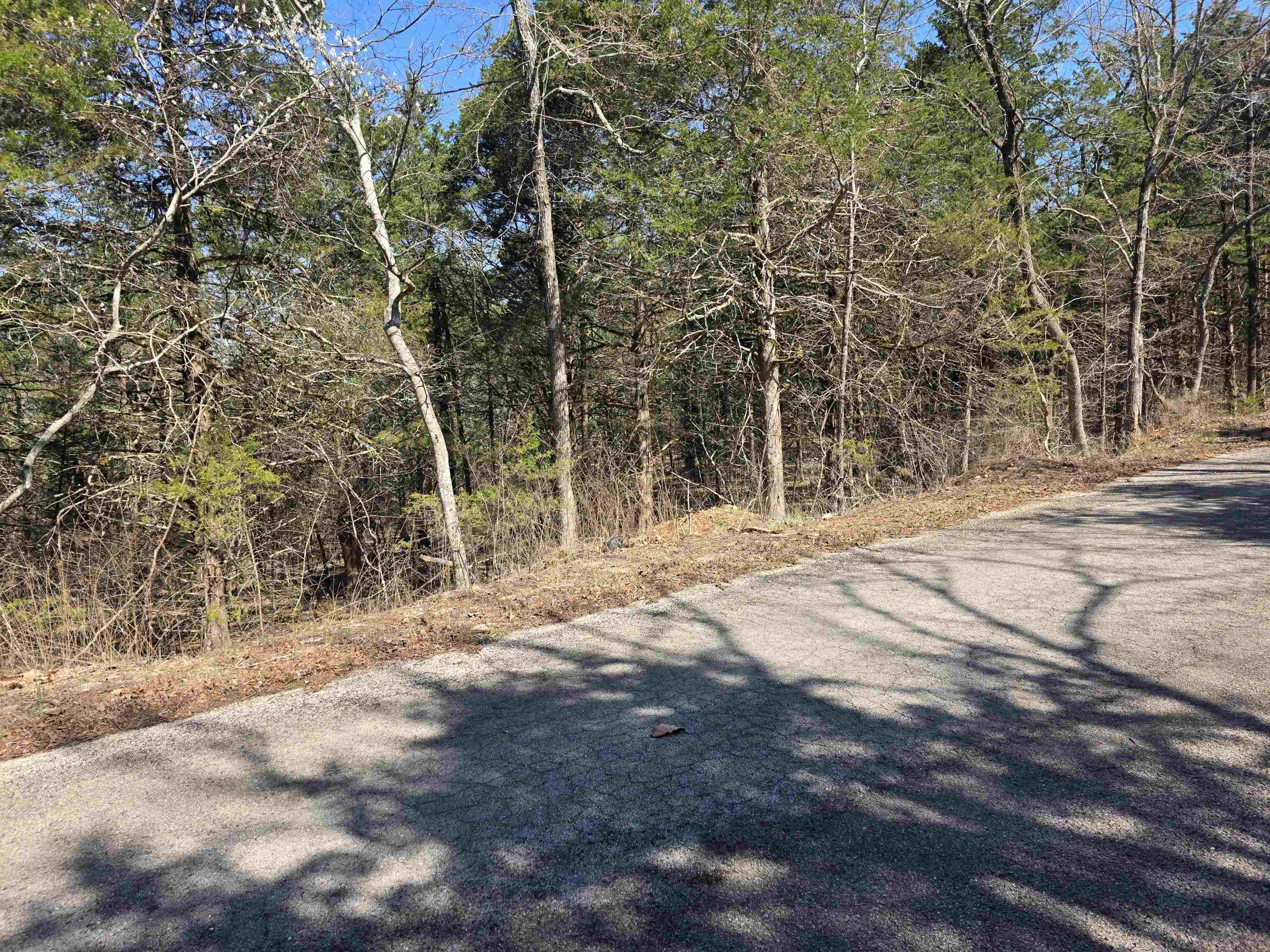 Photo 6 - Vacant Land for sale – L12 B1  Hernando   Cherokee Village, AR