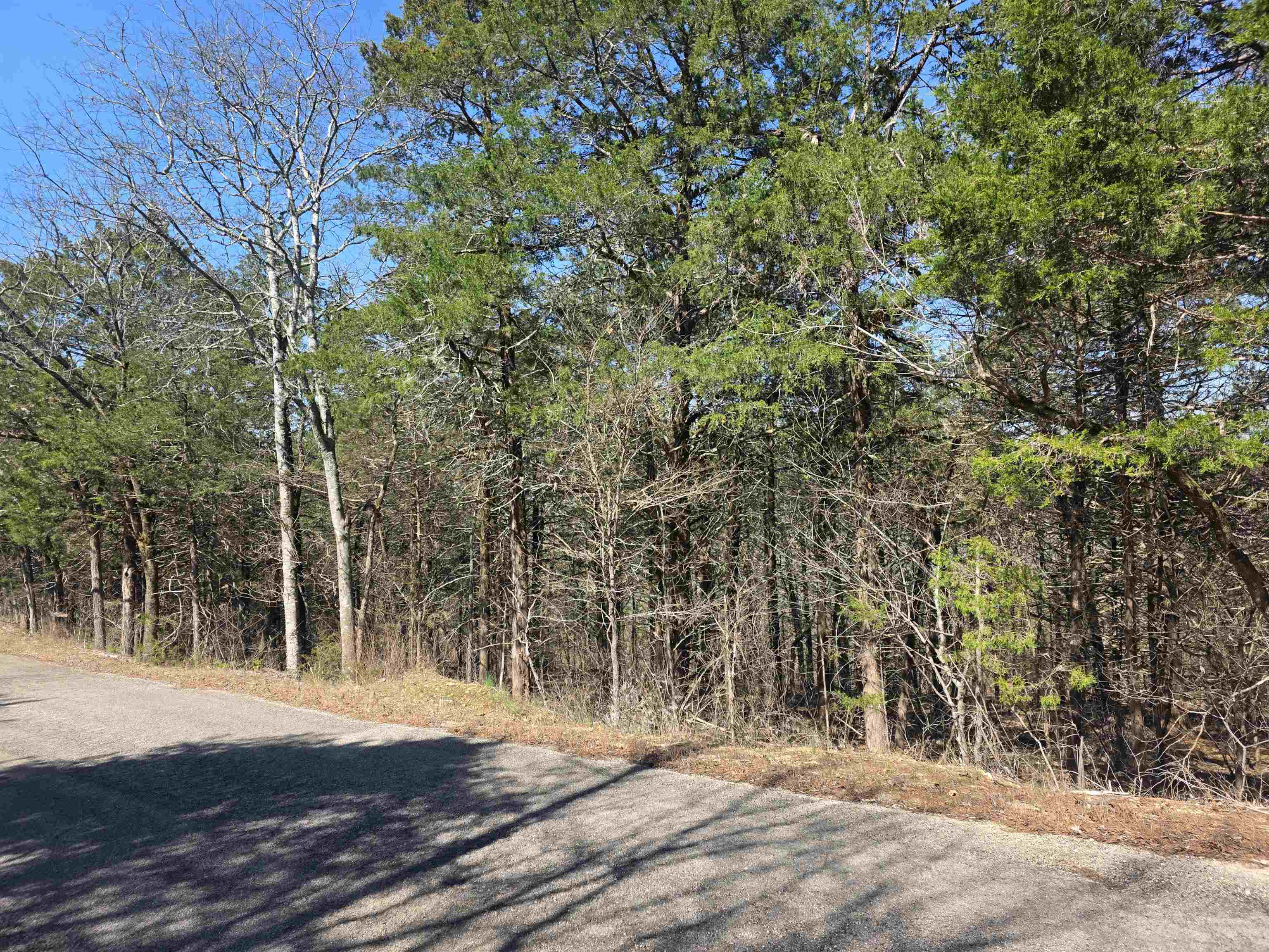 Photo 7 - Vacant Land for sale – L12 B1  Hernando   Cherokee Village, AR