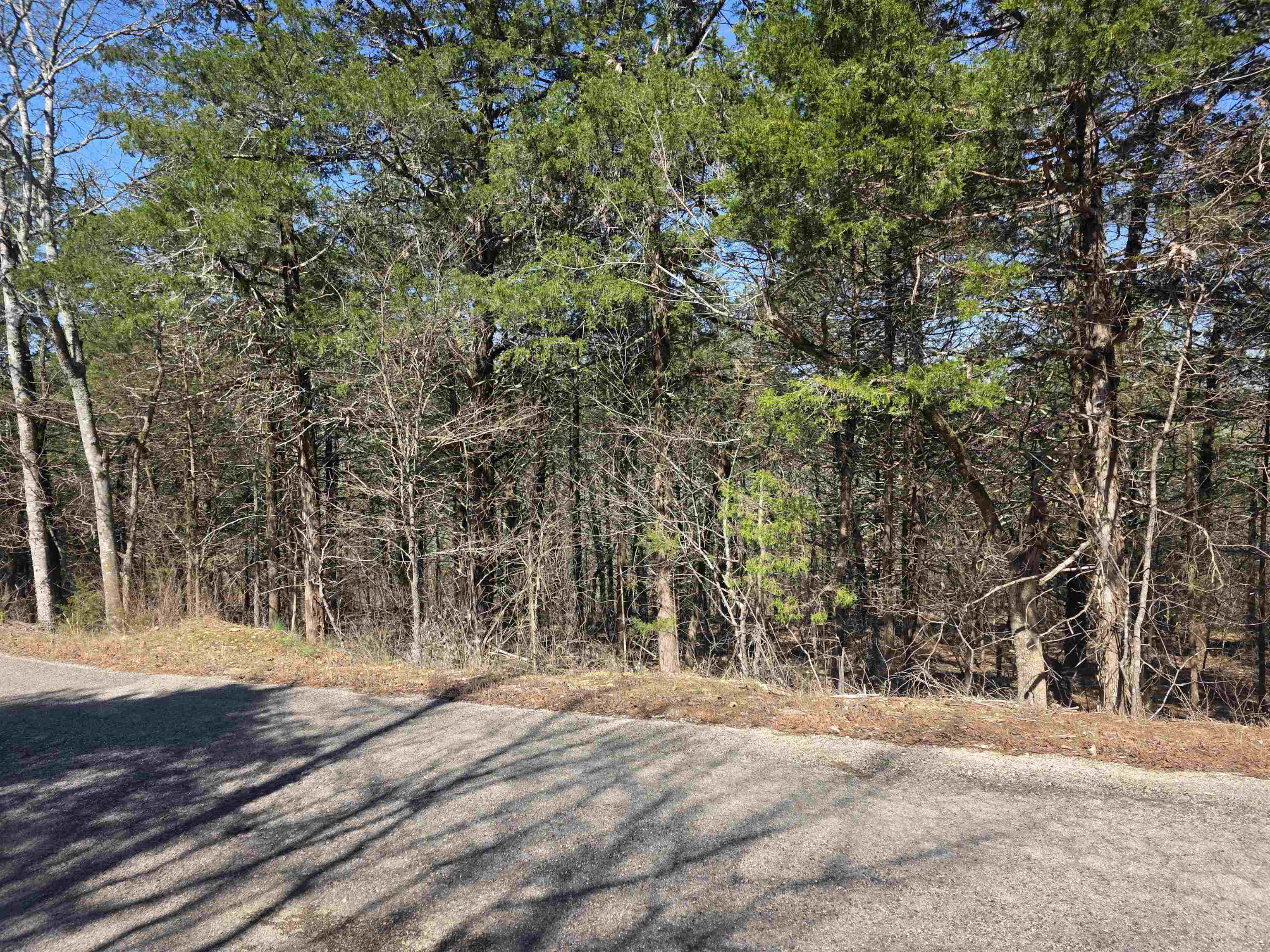 Photo 8 - Vacant Land for sale – L12 B1  Hernando   Cherokee Village, AR