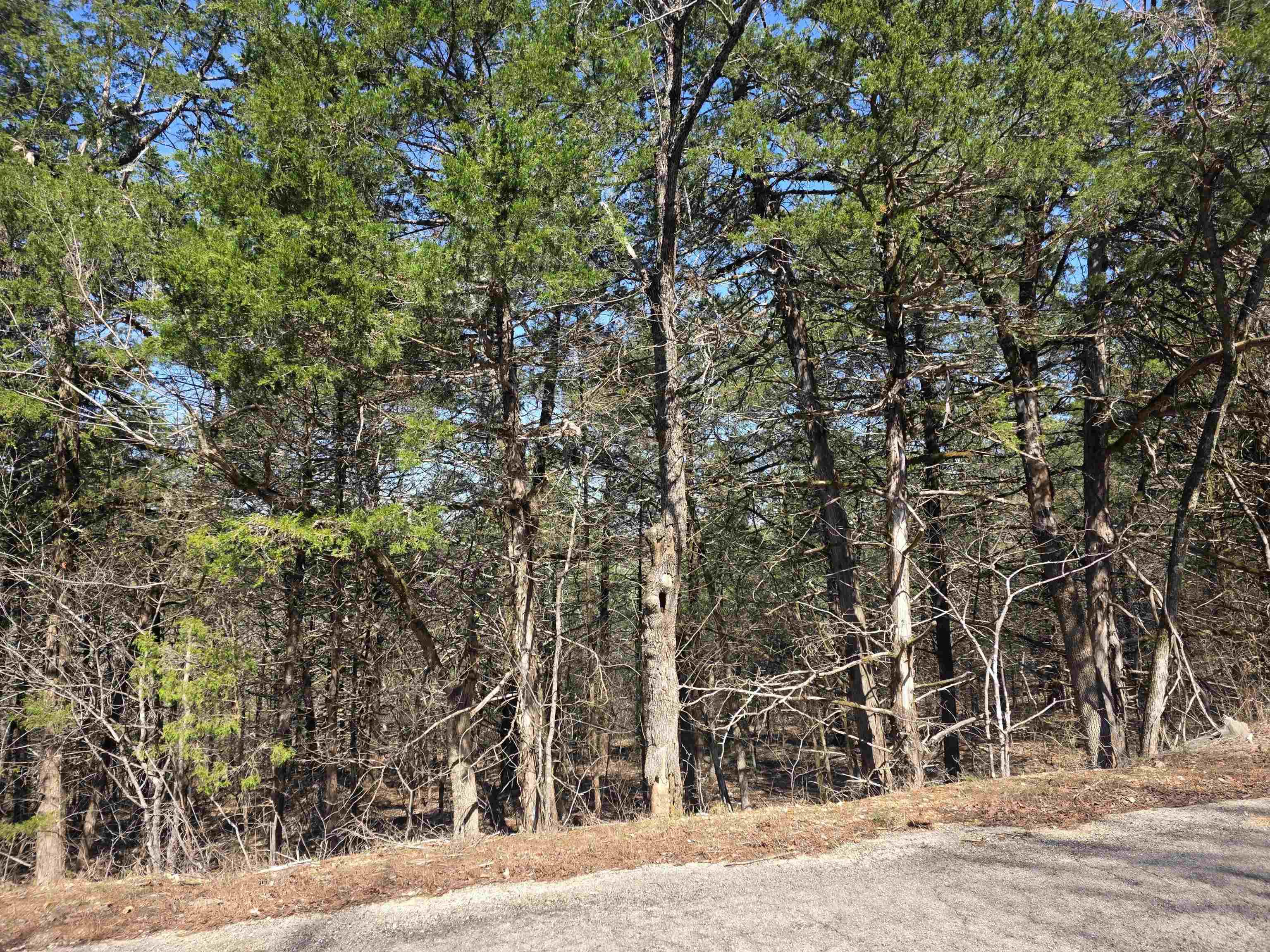 Photo 9 - Vacant Land for sale – L12 B1  Hernando   Cherokee Village, AR