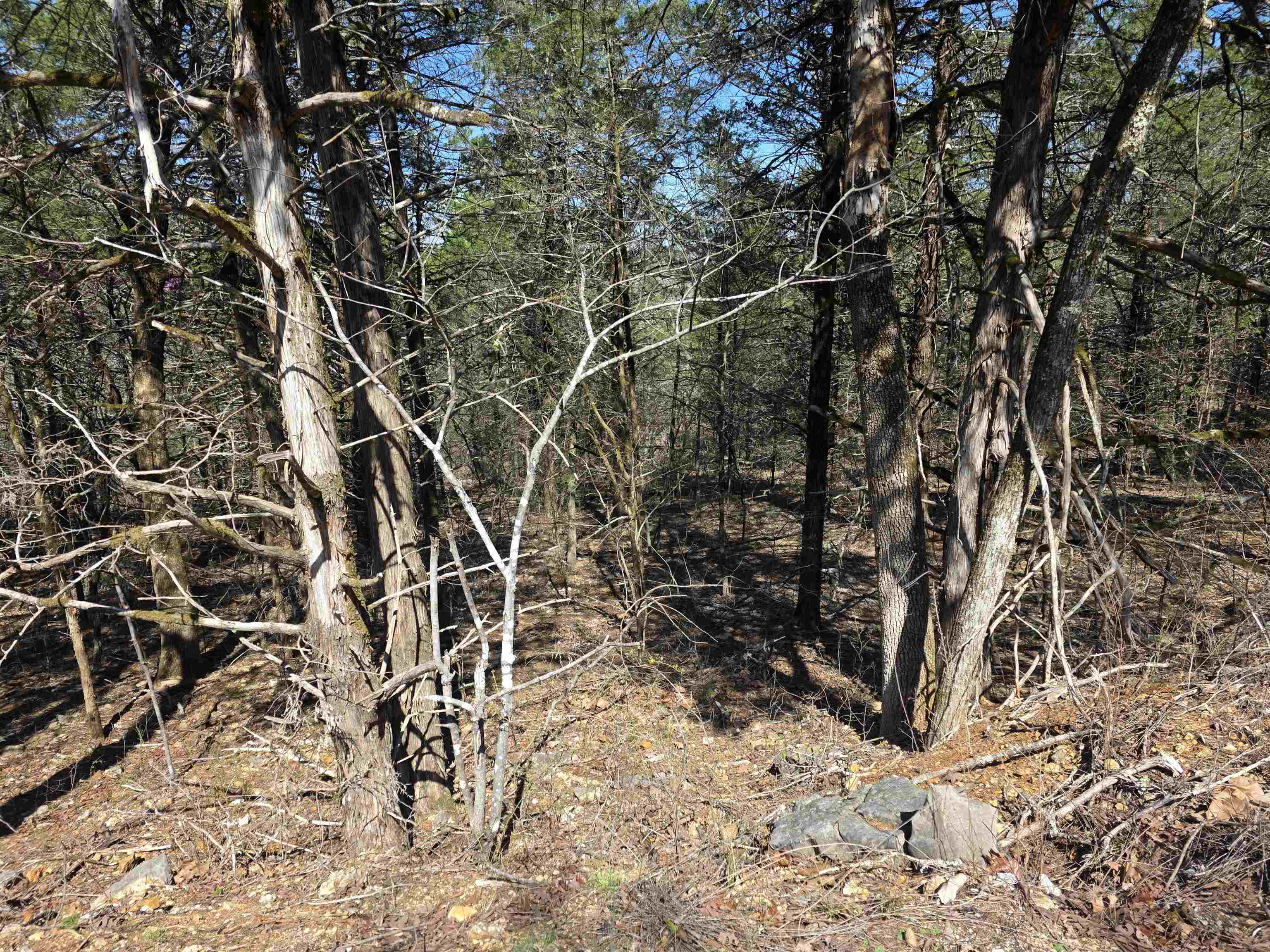 Photo 10 - Vacant Land for sale – L12 B1  Hernando   Cherokee Village, AR