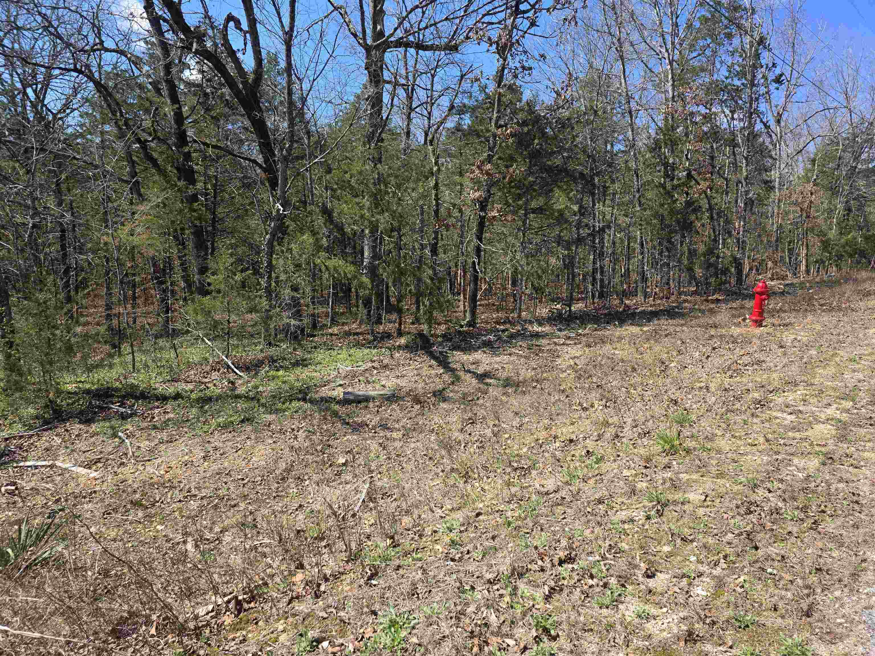 Vacant Land for sale – L32 B19  Katta   Cherokee Village, AR