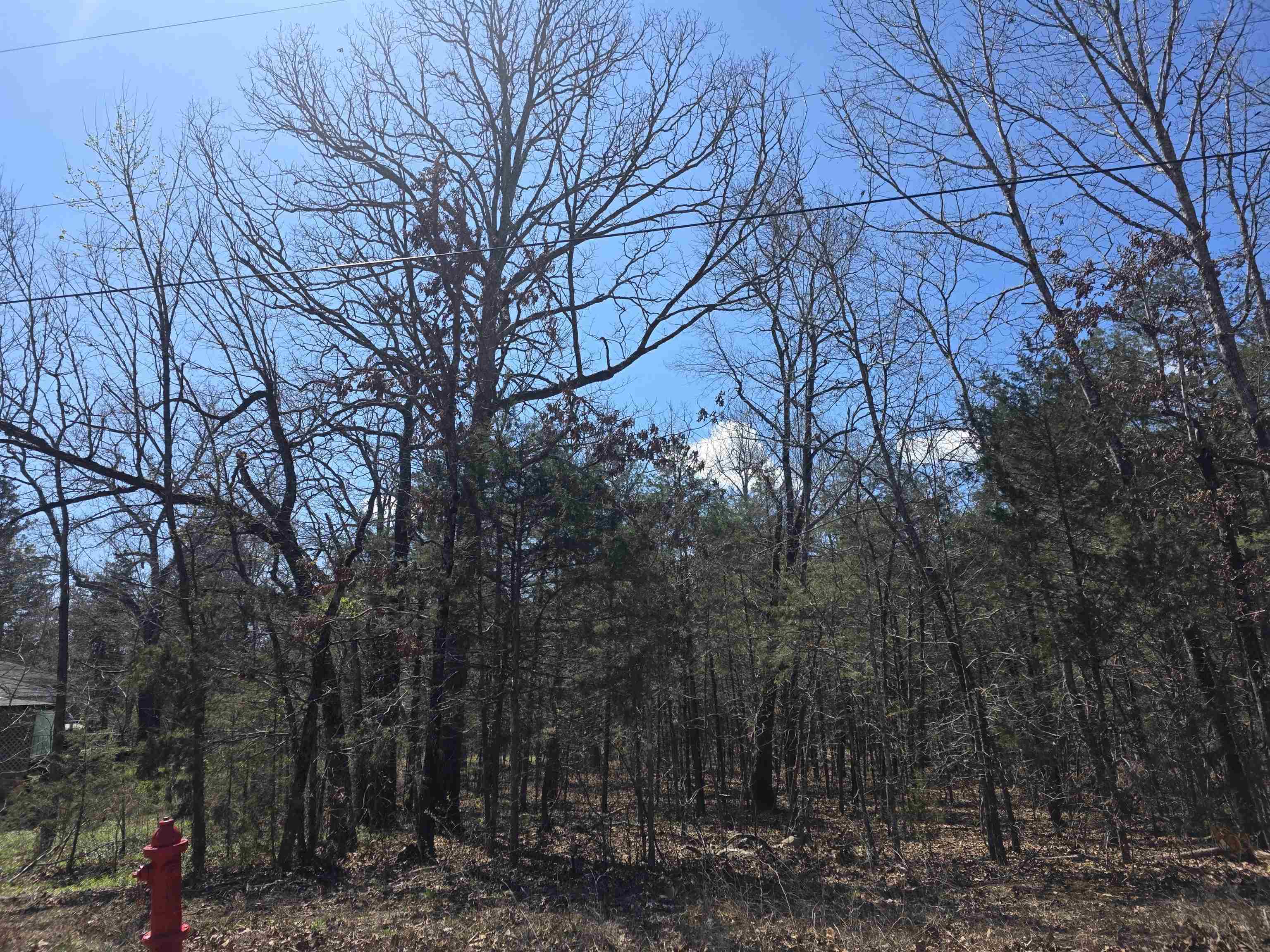 Photo 2 - Vacant Land for sale – L32 B19  Katta   Cherokee Village, AR