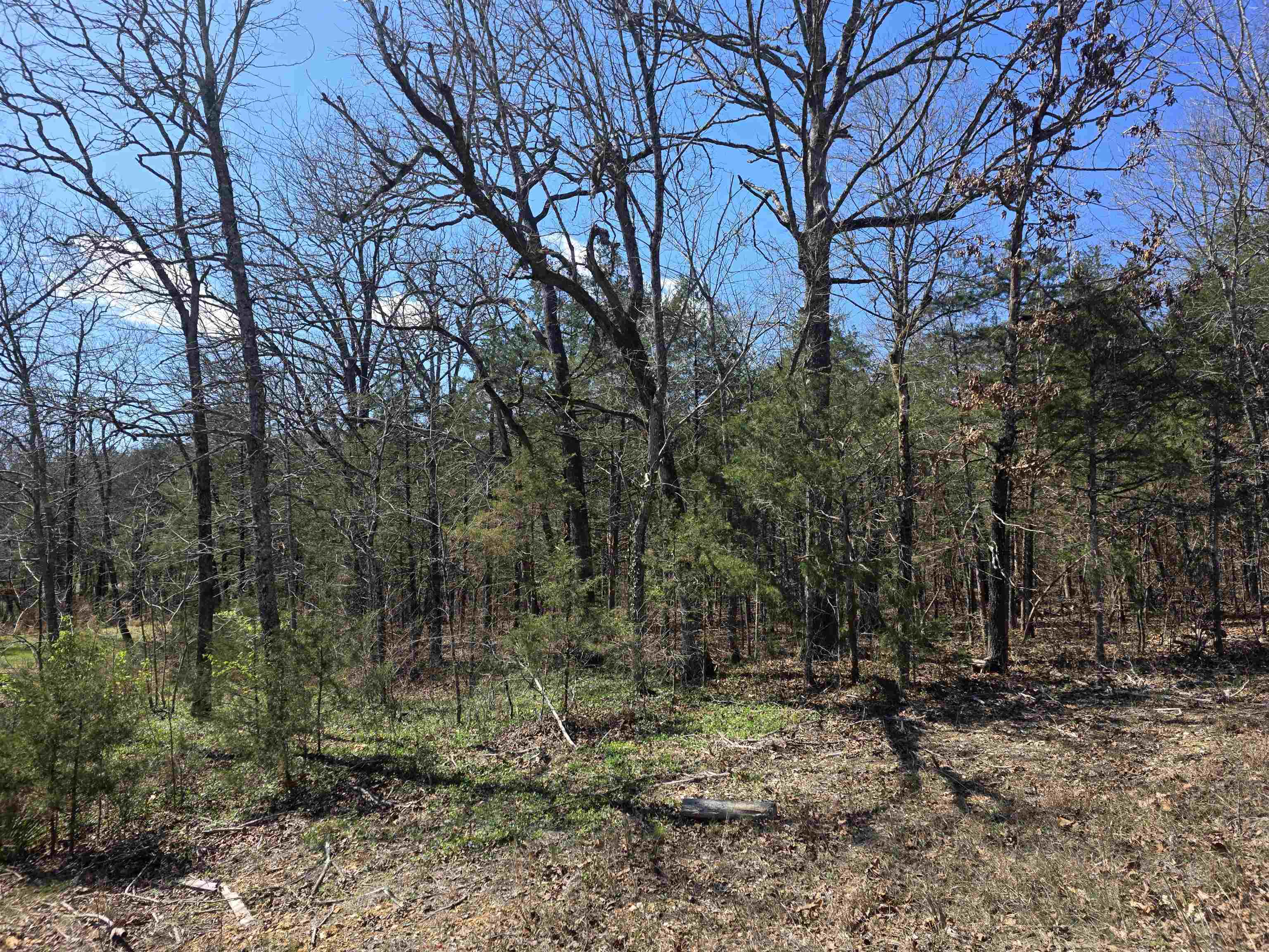 Photo 11 - Vacant Land for sale – L32 B19  Katta   Cherokee Village, AR