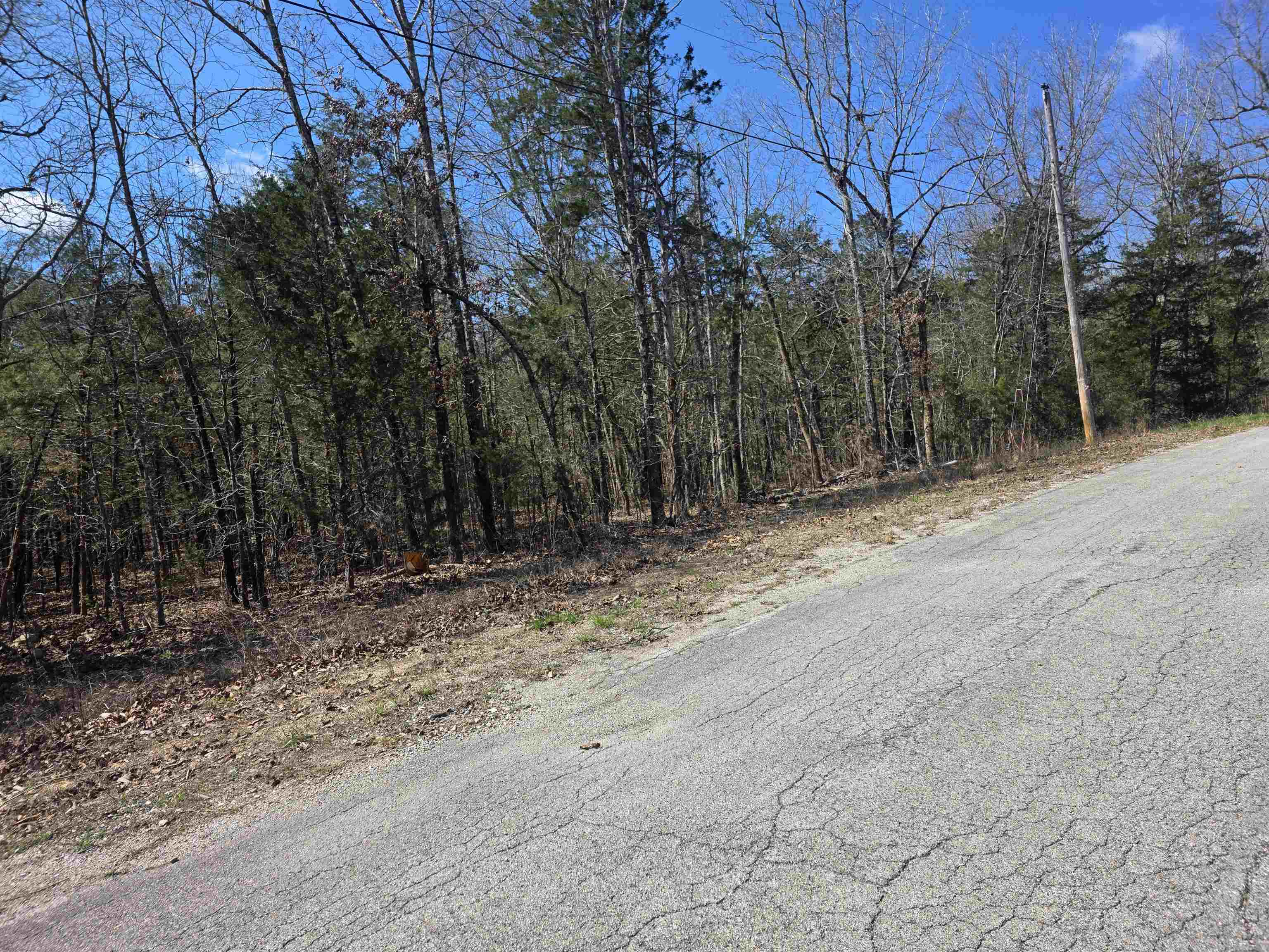 Photo 4 - Vacant Land for sale – L32 B19  Katta   Cherokee Village, AR