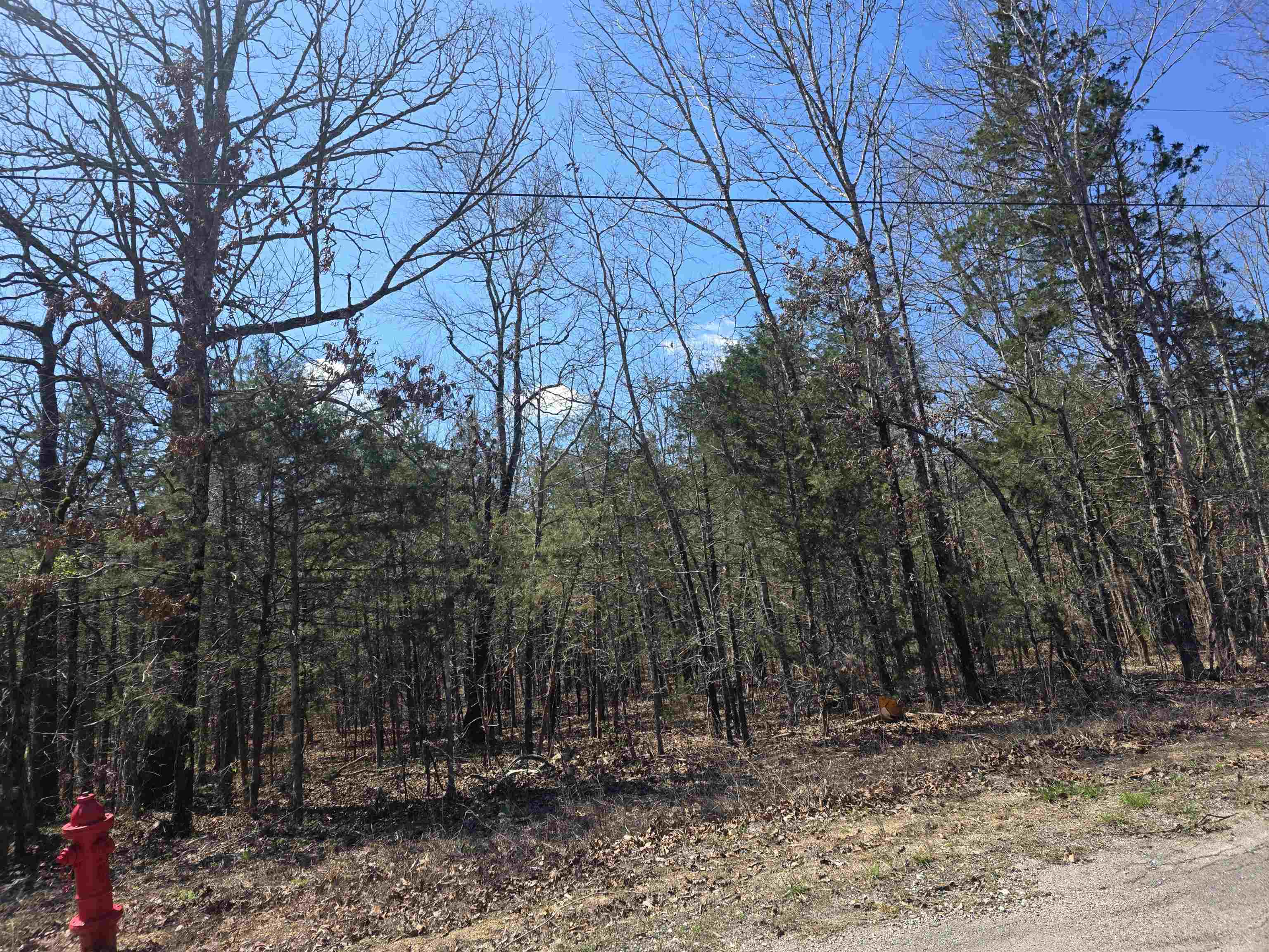 Photo 5 - Vacant Land for sale – L32 B19  Katta   Cherokee Village, AR