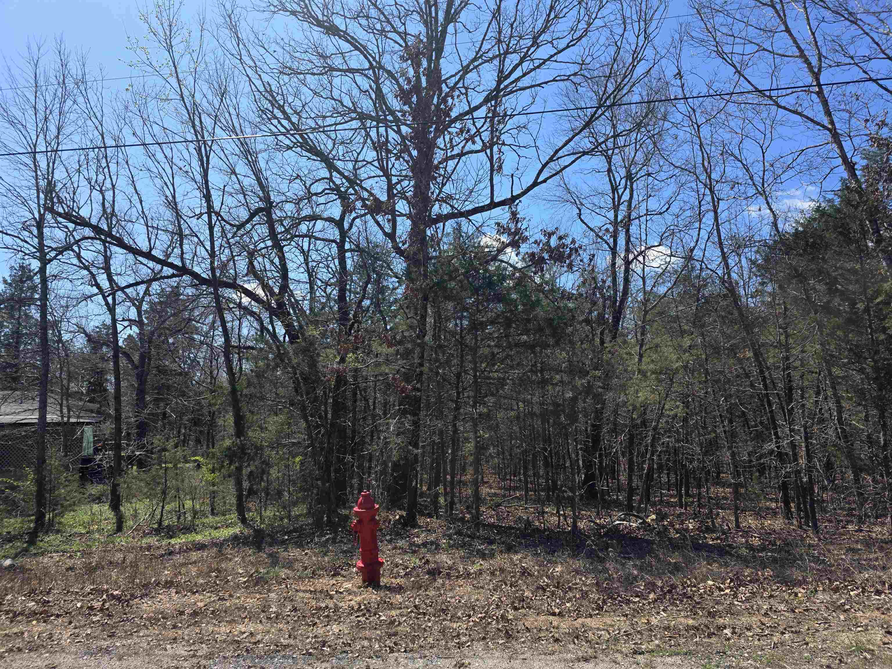 Photo 6 - Vacant Land for sale – L32 B19  Katta   Cherokee Village, AR