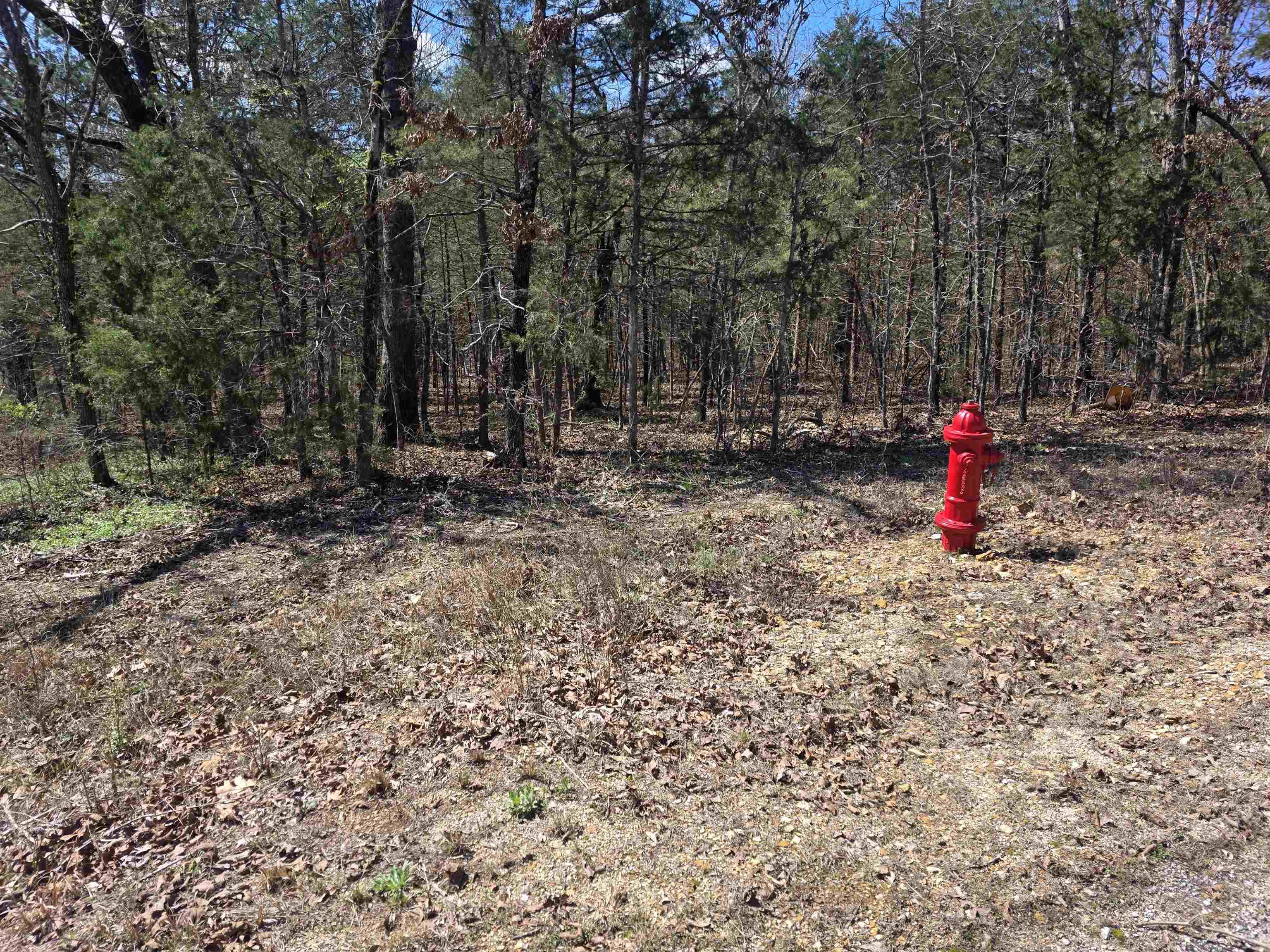 Photo 7 - Vacant Land for sale – L32 B19  Katta   Cherokee Village, AR