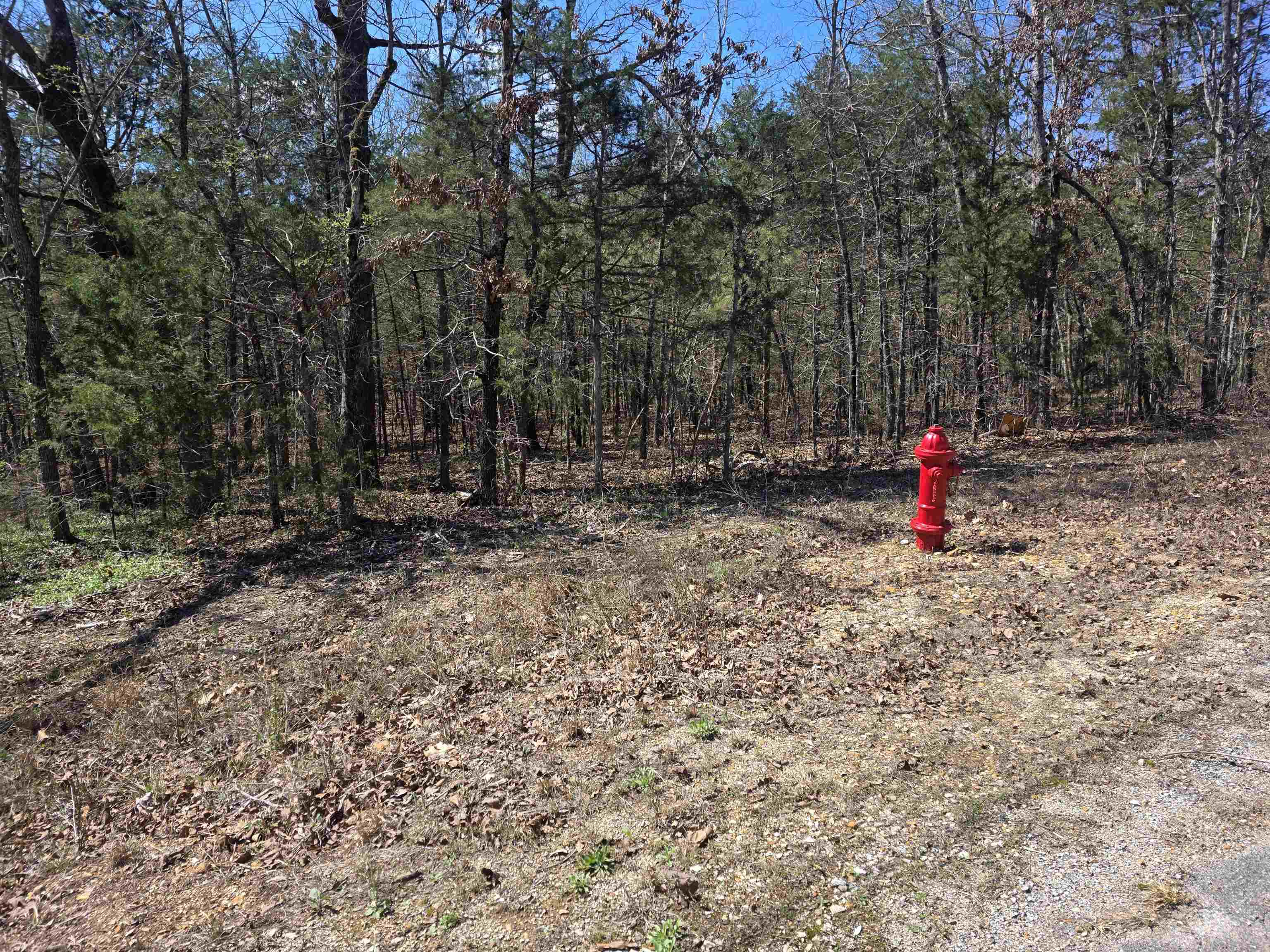 Photo 8 - Vacant Land for sale – L32 B19  Katta   Cherokee Village, AR