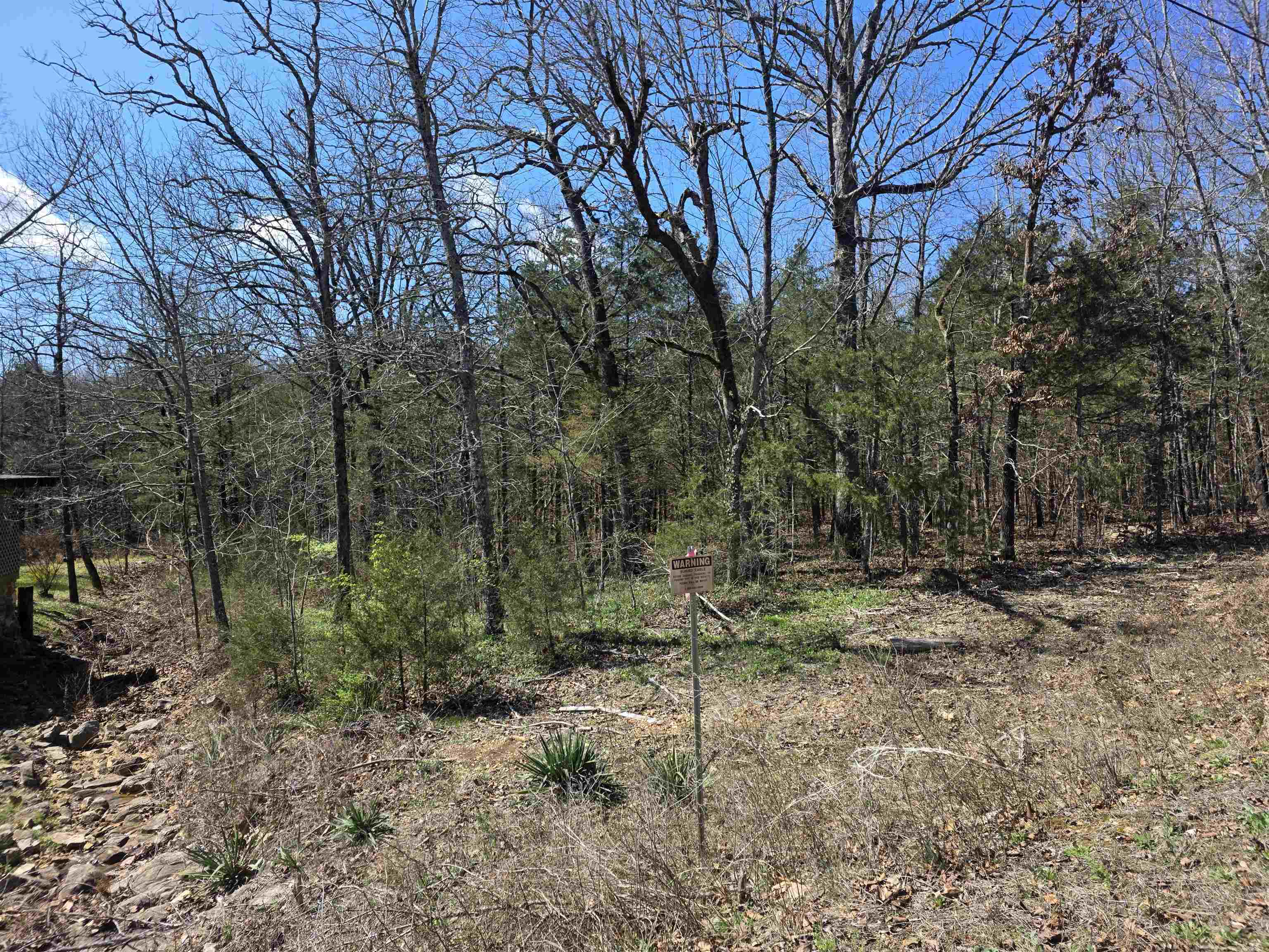 Photo 10 - Vacant Land for sale – L32 B19  Katta   Cherokee Village, AR