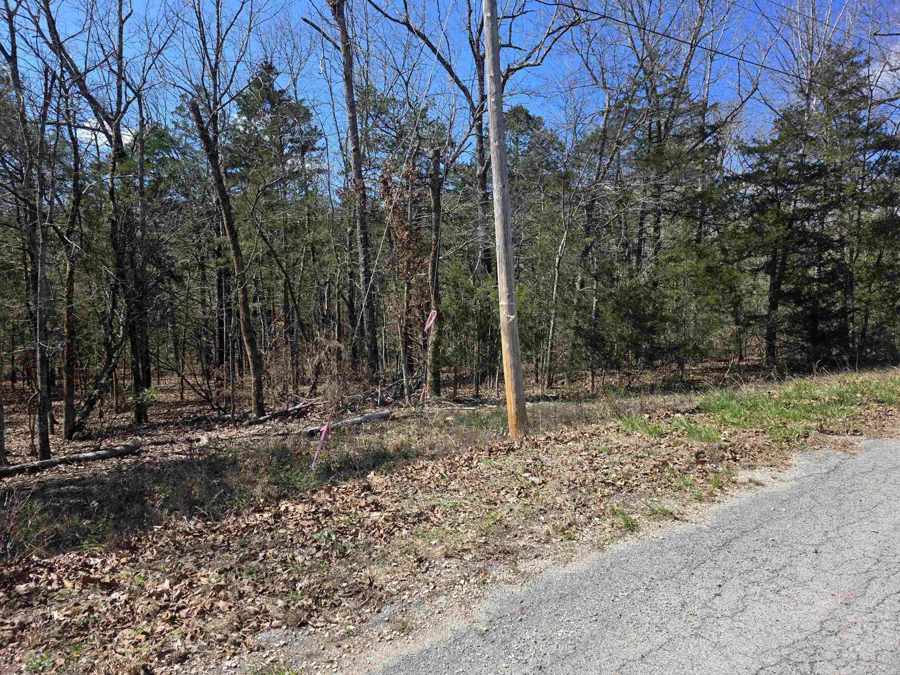 Photo 2 - Vacant Land for sale – L31 B19  Katta   Cherokee Village, AR
