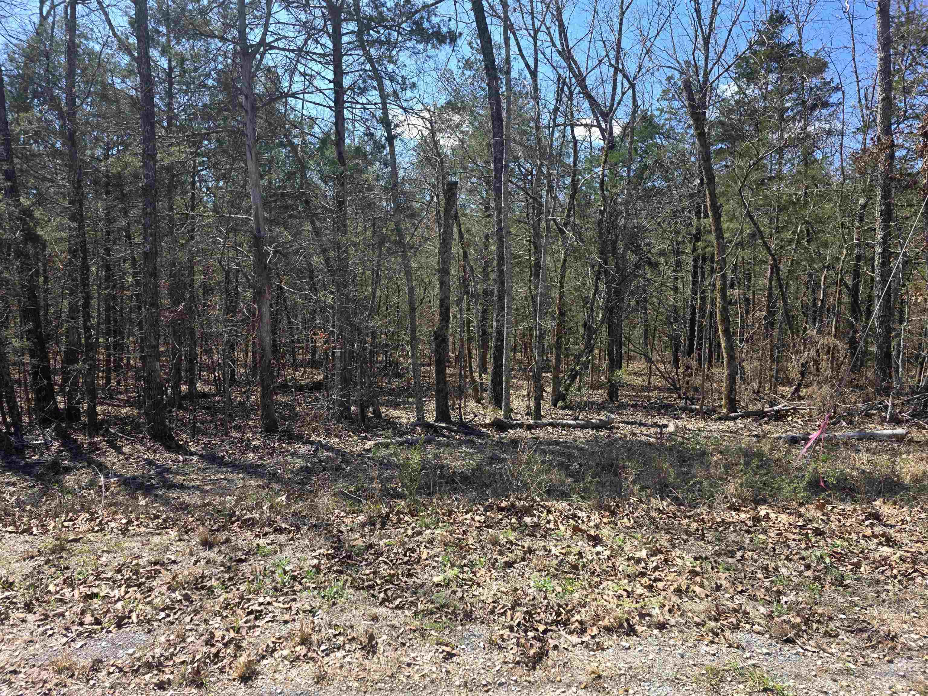 Photo 3 - Vacant Land for sale – L31 B19  Katta   Cherokee Village, AR